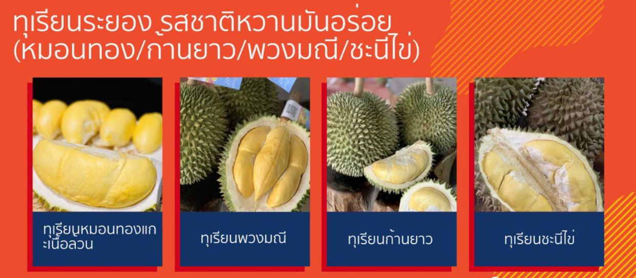 ทุเรียนระยอง