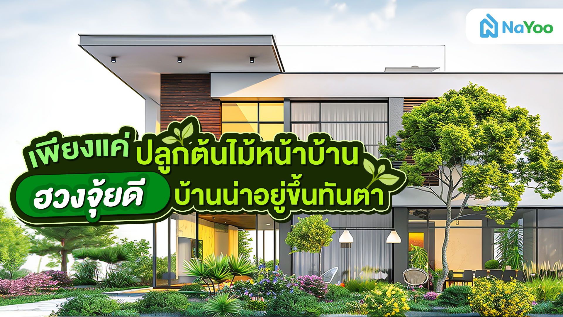 เพียงแค่ปลูกต้นไม้หน้าบ้าน ฮวงจุ้ยดี บ้านน่าอยู่ขึ้นทันตา