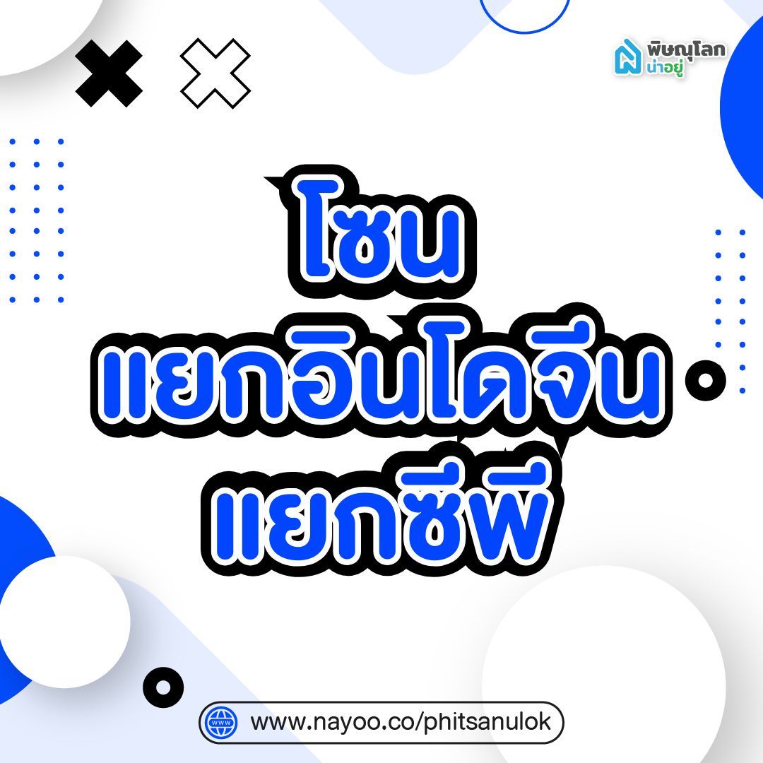 โซนแยกอินจีน-แยกซีพี