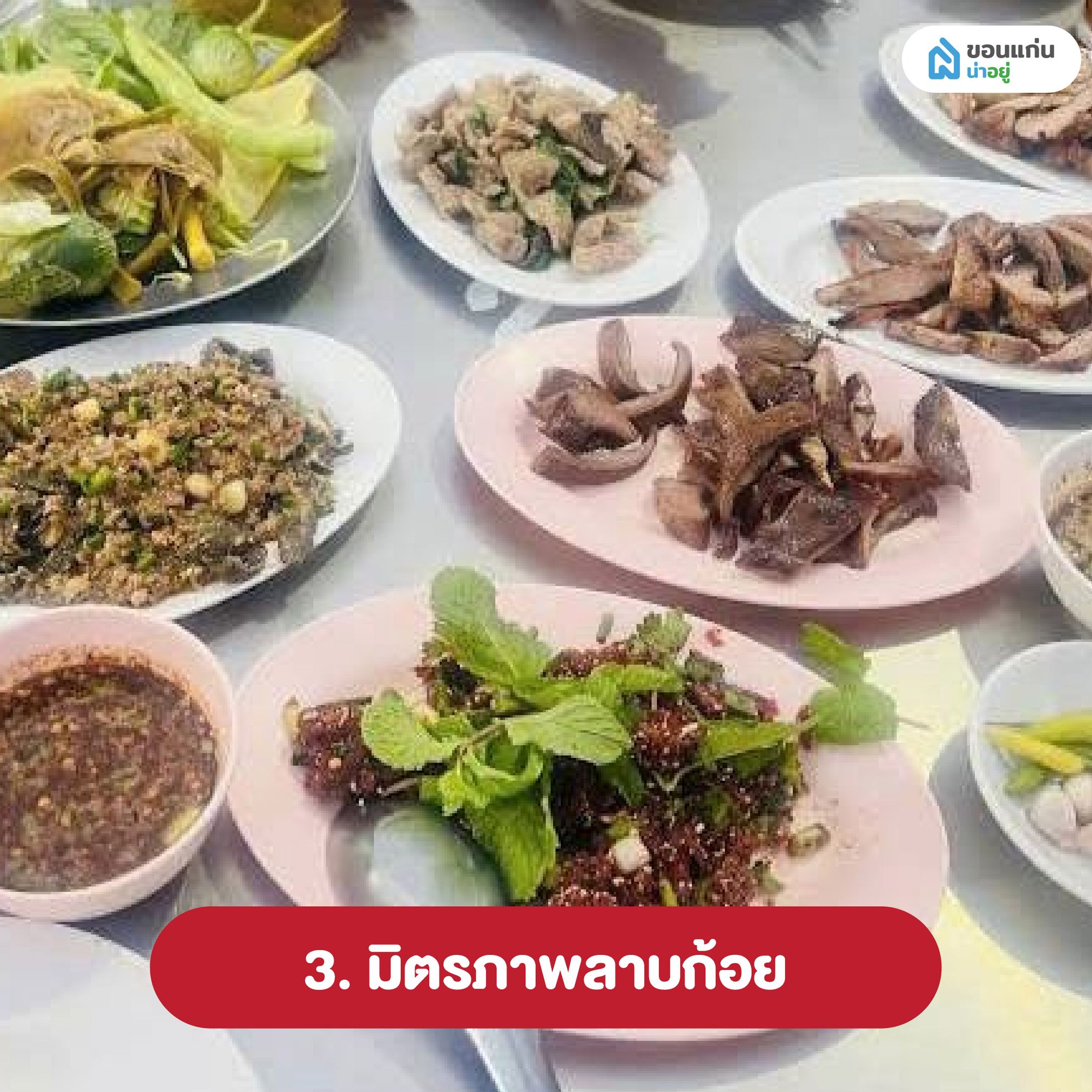 มิตรภาพลาบก้อย ร้านอาหารอีสานขอนแก่น