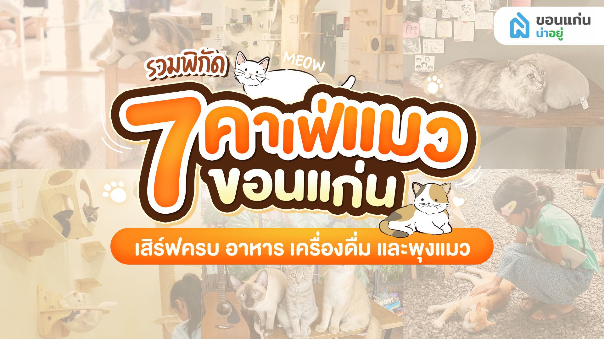 รวมพิกัด 7 คาเฟ่แมวขอนแก่น เสิร์ฟครบ อาหาร เครื่องดื่ม และพุงแมว