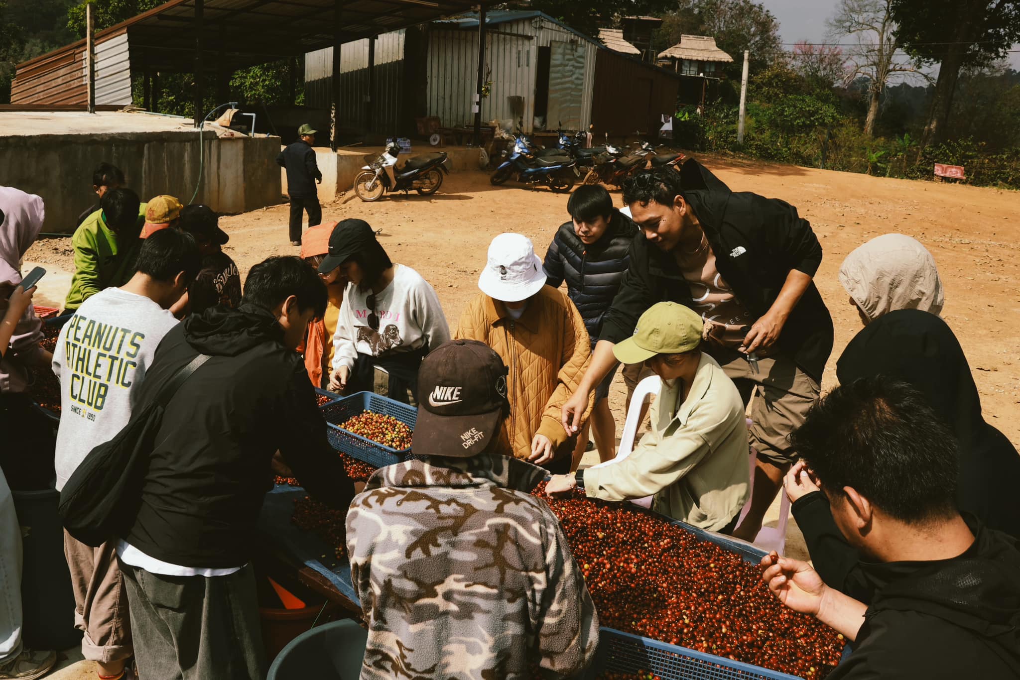 โรงคั่วกาแฟชูใจ โรงคั่วกาแฟคุณภาพในขอนแก่น