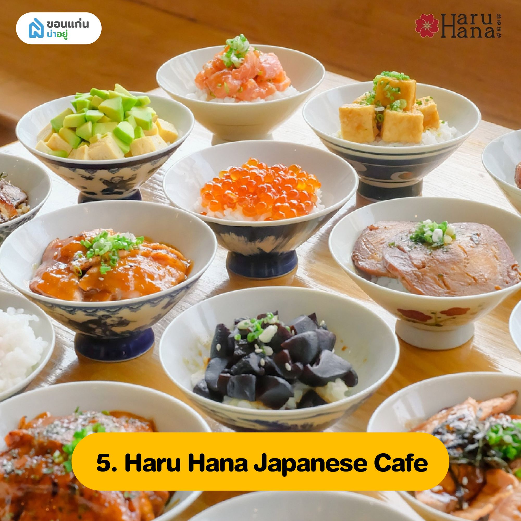 Haru Hana Japanese Cafe อาหารญี่ปุ่นขอนแก่น