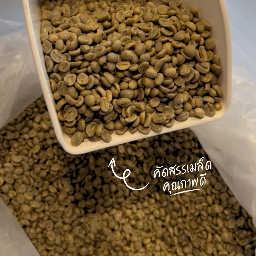 โรงคั่วกาแฟชูใจ โรงคั่วกาแฟคุณภาพในขอนแก่น