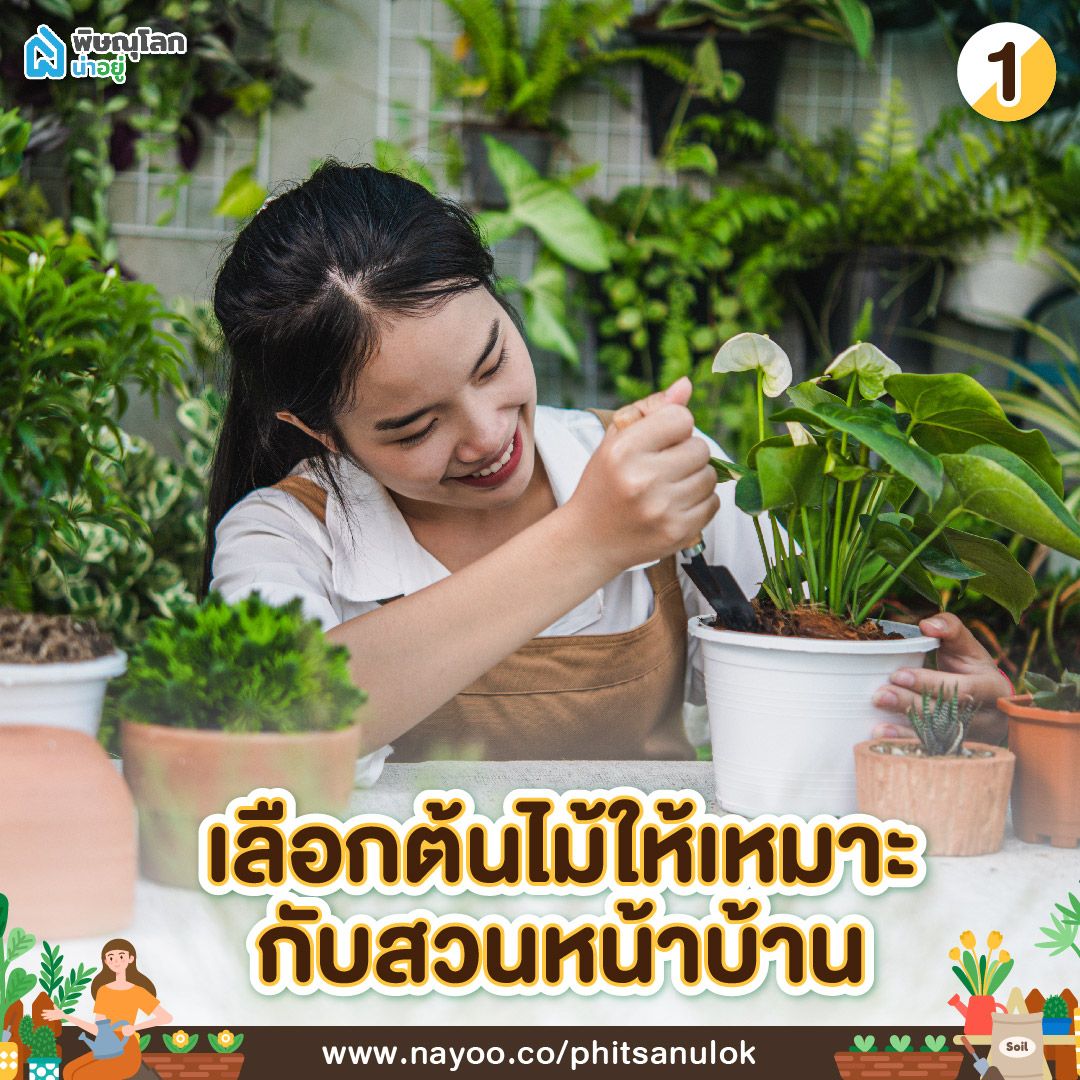 วิธีดูแลสวนหน้าบ้าน โดยการเลือกต้นไม้ให้เหมาะกับสวนหน้าบ้าน