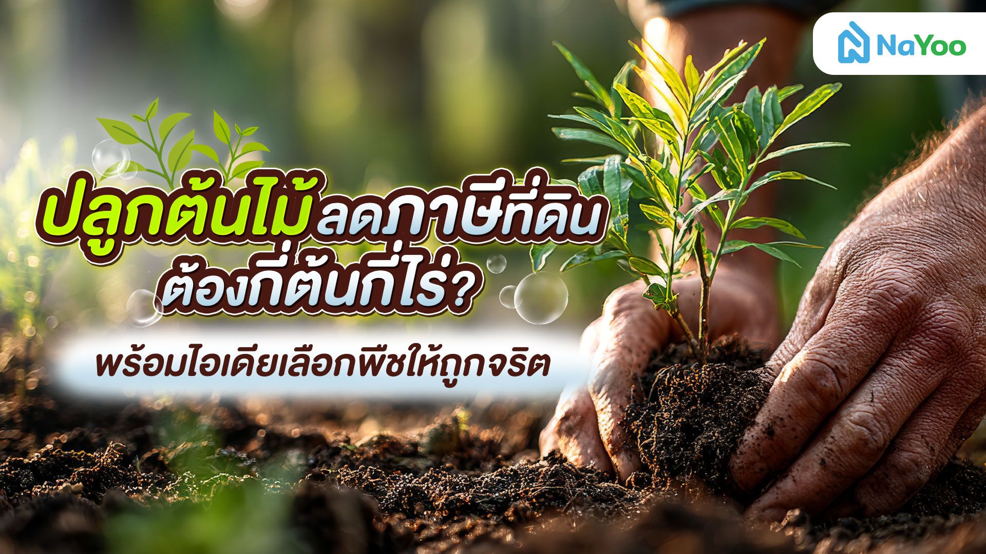 ปลูกต้นไม้ลดภาษีที่ดิน ต้องกี่ต้นกี่ไร่? พร้อมไอเดียเลือกพืชให้ถูกจริต