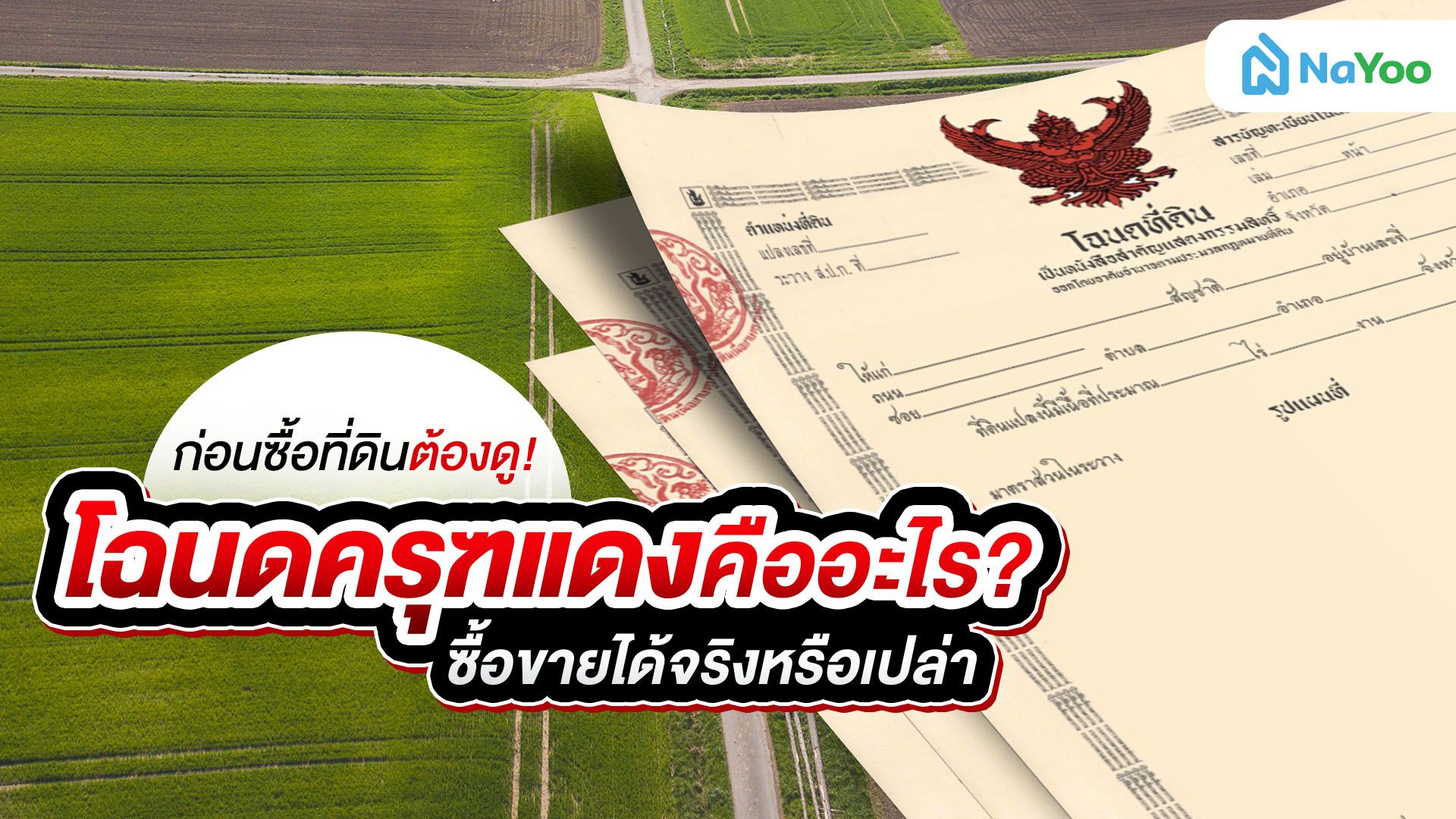 โฉนดครุฑแดง (น.ส.4) คืออะไร? ซื้อ ขาย โอนได้ไหม