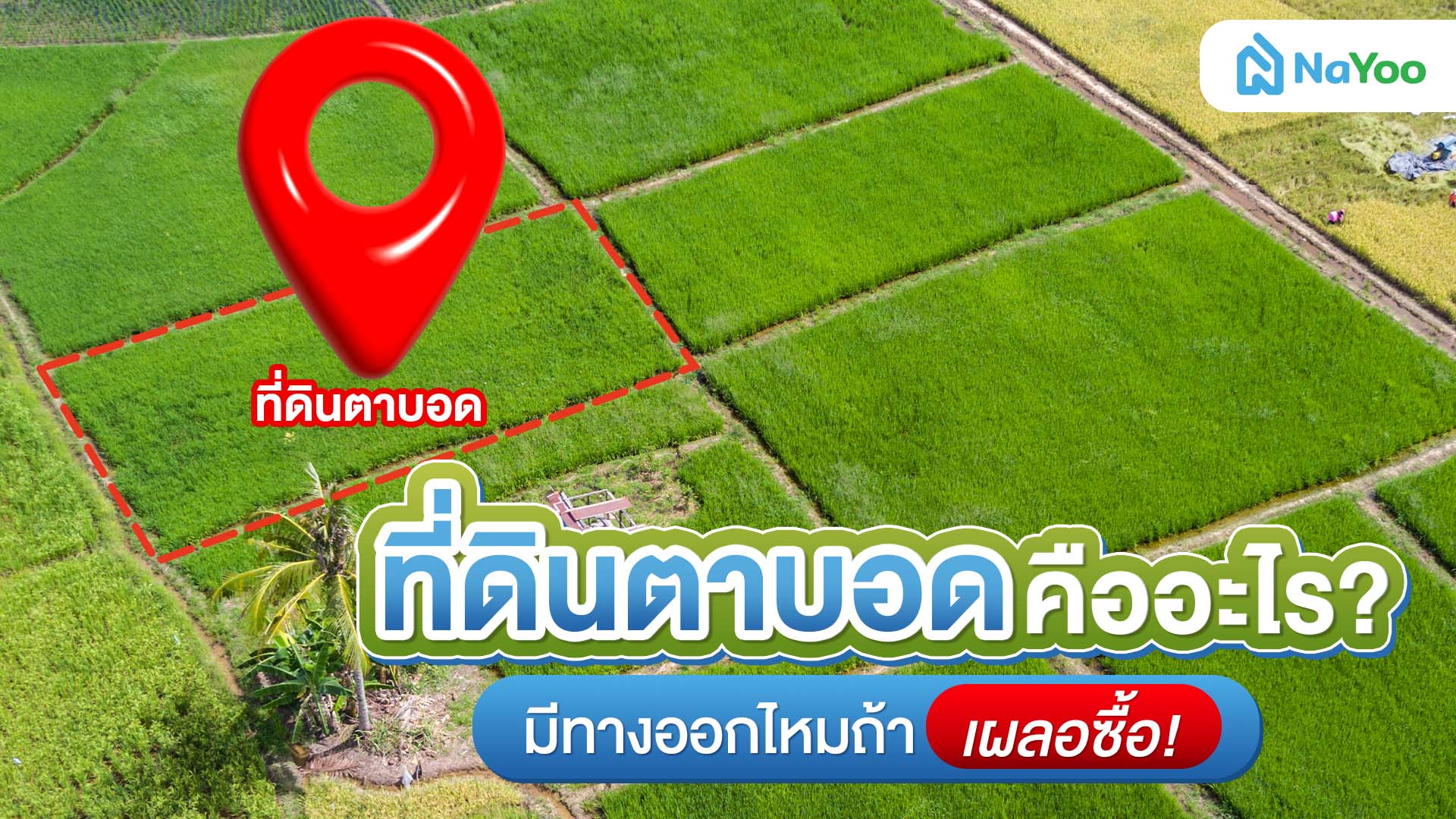 ที่ดินตาบอดคืออะไร? มีทางออกไหมถ้าเผลอซื้อ!
