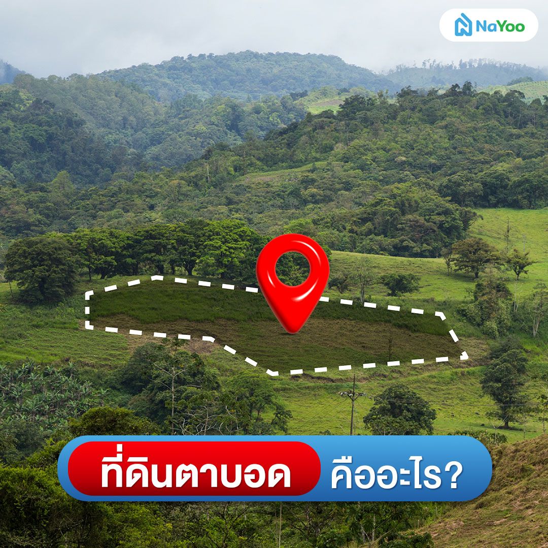 ที่ดินตาบอดคืออะไร?