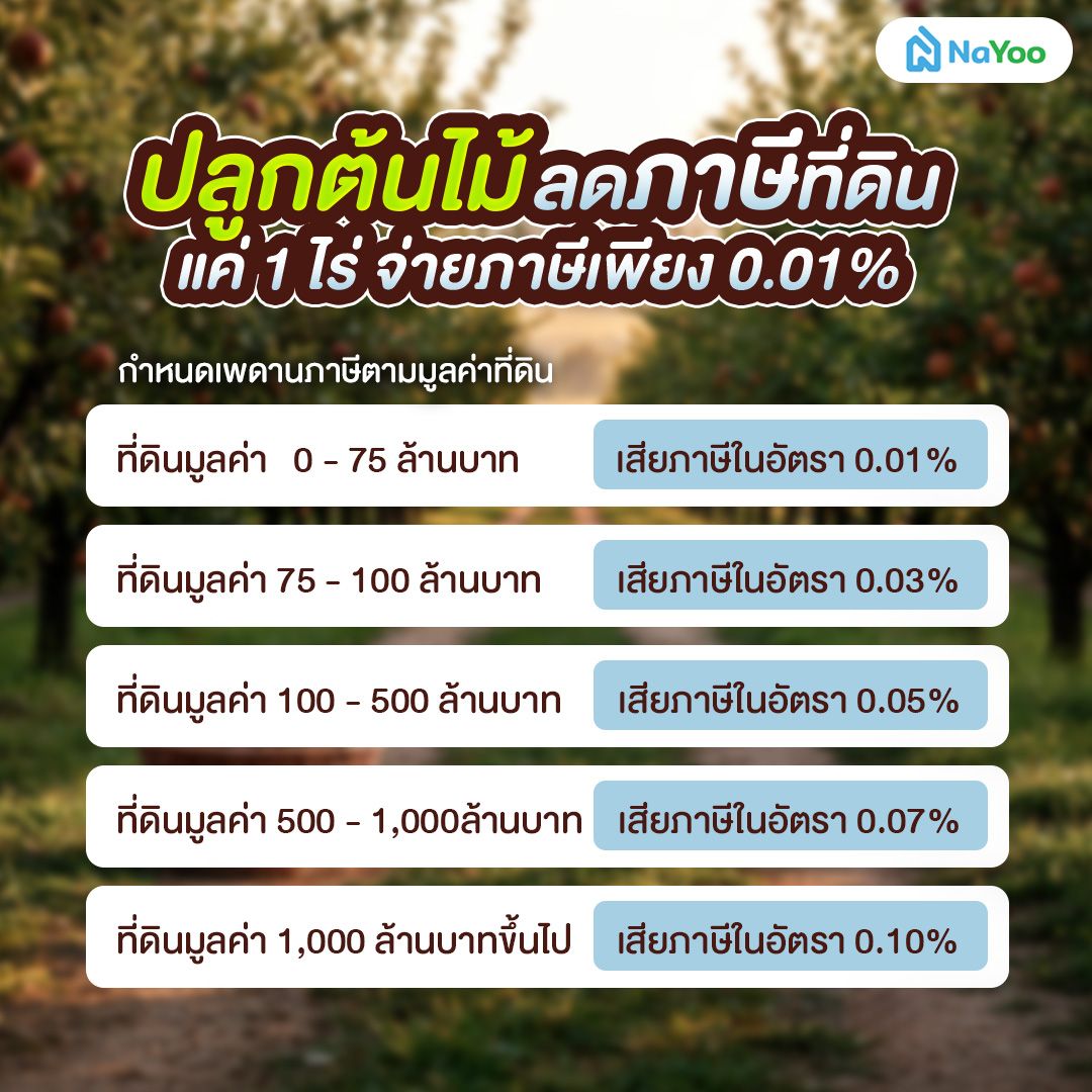 ปลูกต้นไม้ลดภาษีที่ดิน แค่ 1 ไร่ จ่ายภาษีเพียง 0.01%