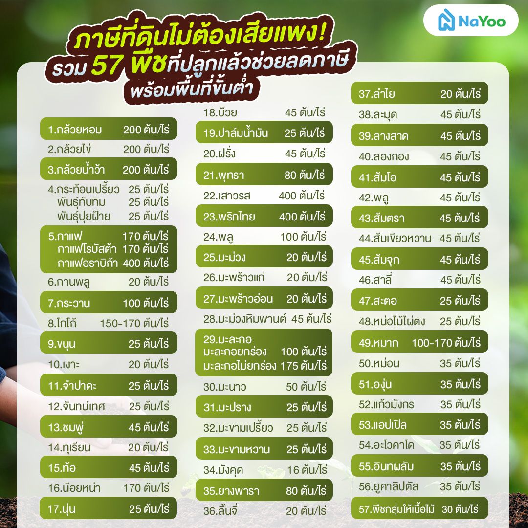 รวม 57 พืชที่ปลูกแล้วช่วยลดภาษี พร้อมพื้นที่ขั้นต่ำ