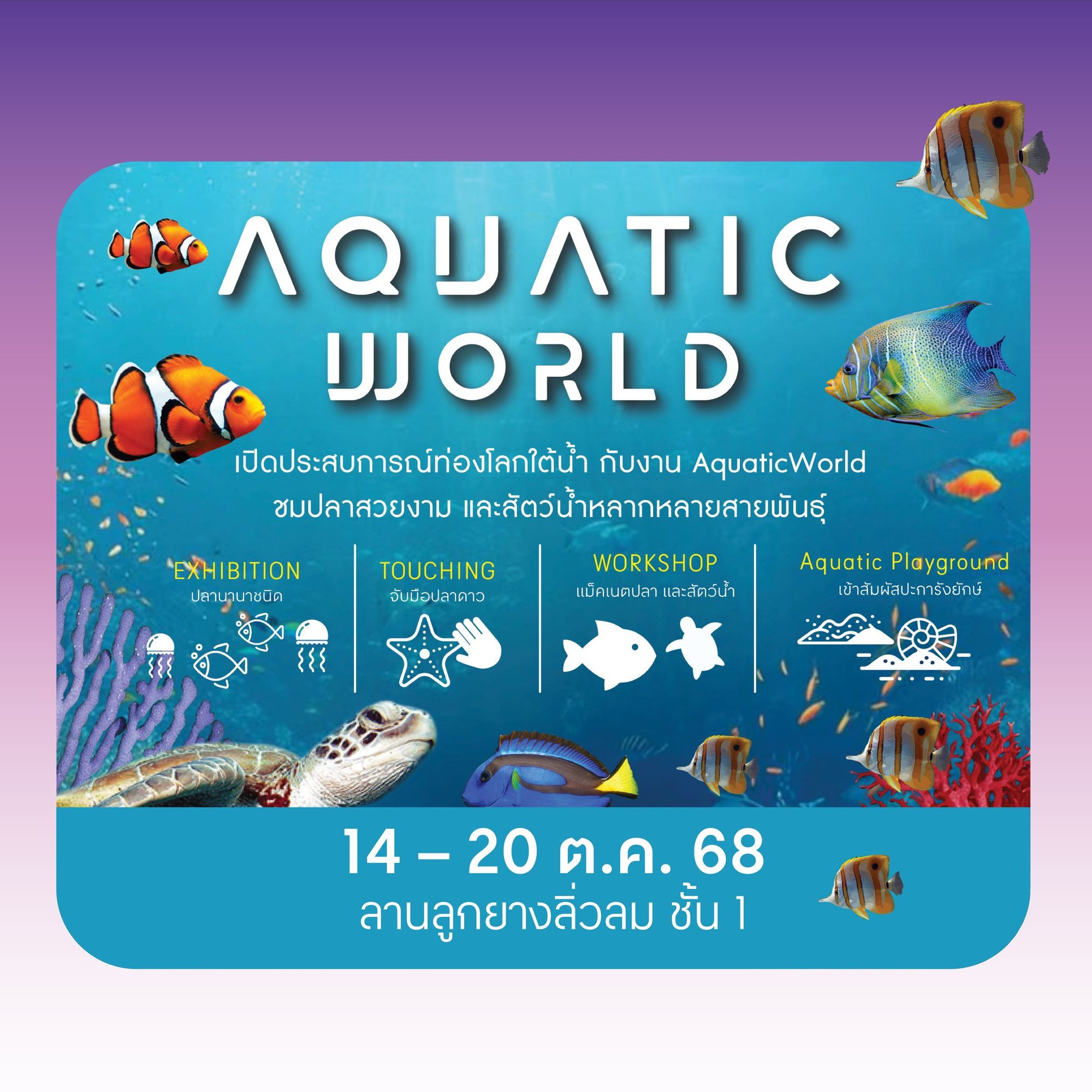งาน Aquatic World ✨ ชมปลาสวยงาม และสัตว์ใต้น้ำ central ubon