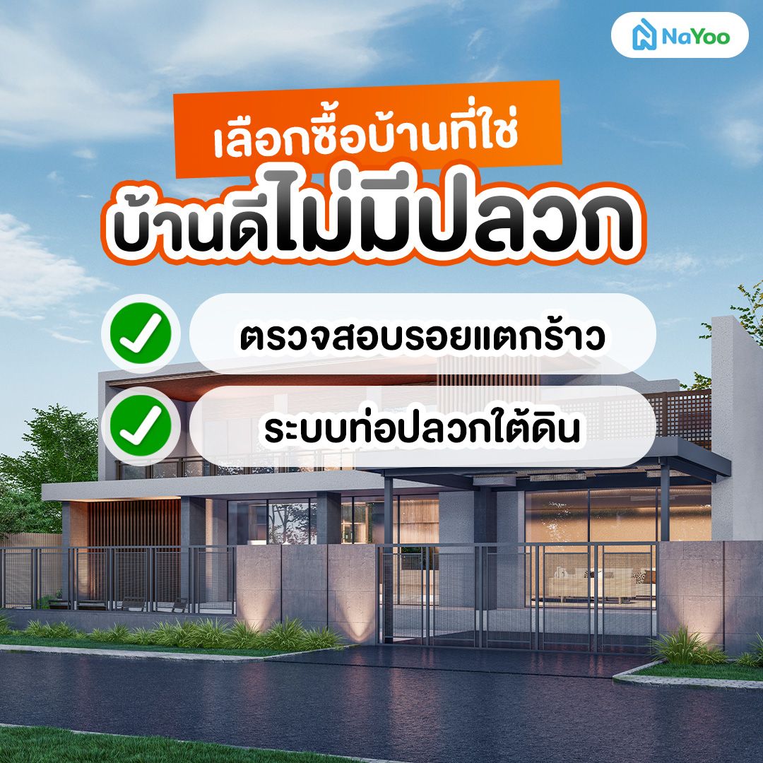 เลือกซื้อบ้านที่ใช่ บ้านดีไม่มีปลวก!