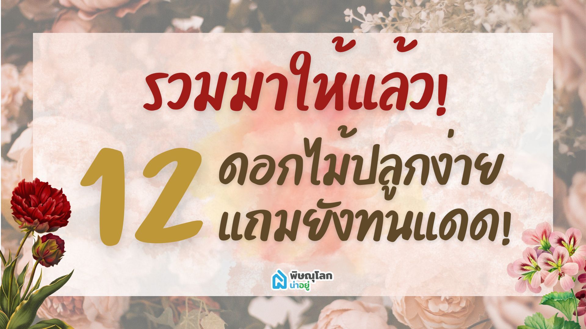 รวมมาให้แล้ว! ดอกไม้ปลูกง่าย 12 ชนิดแถมยังทนแดด!