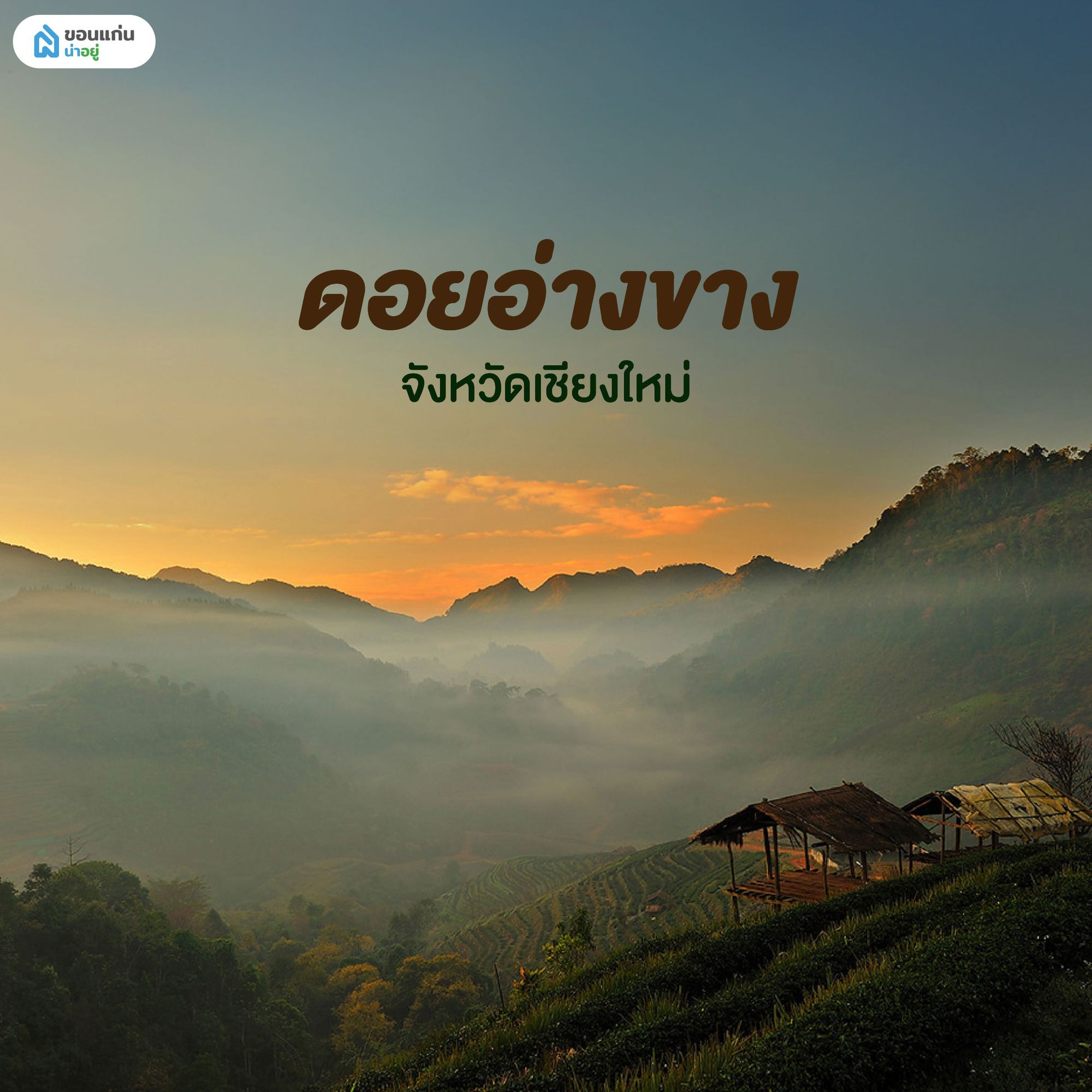 ดอยอ่างขาง เชียงใหม่