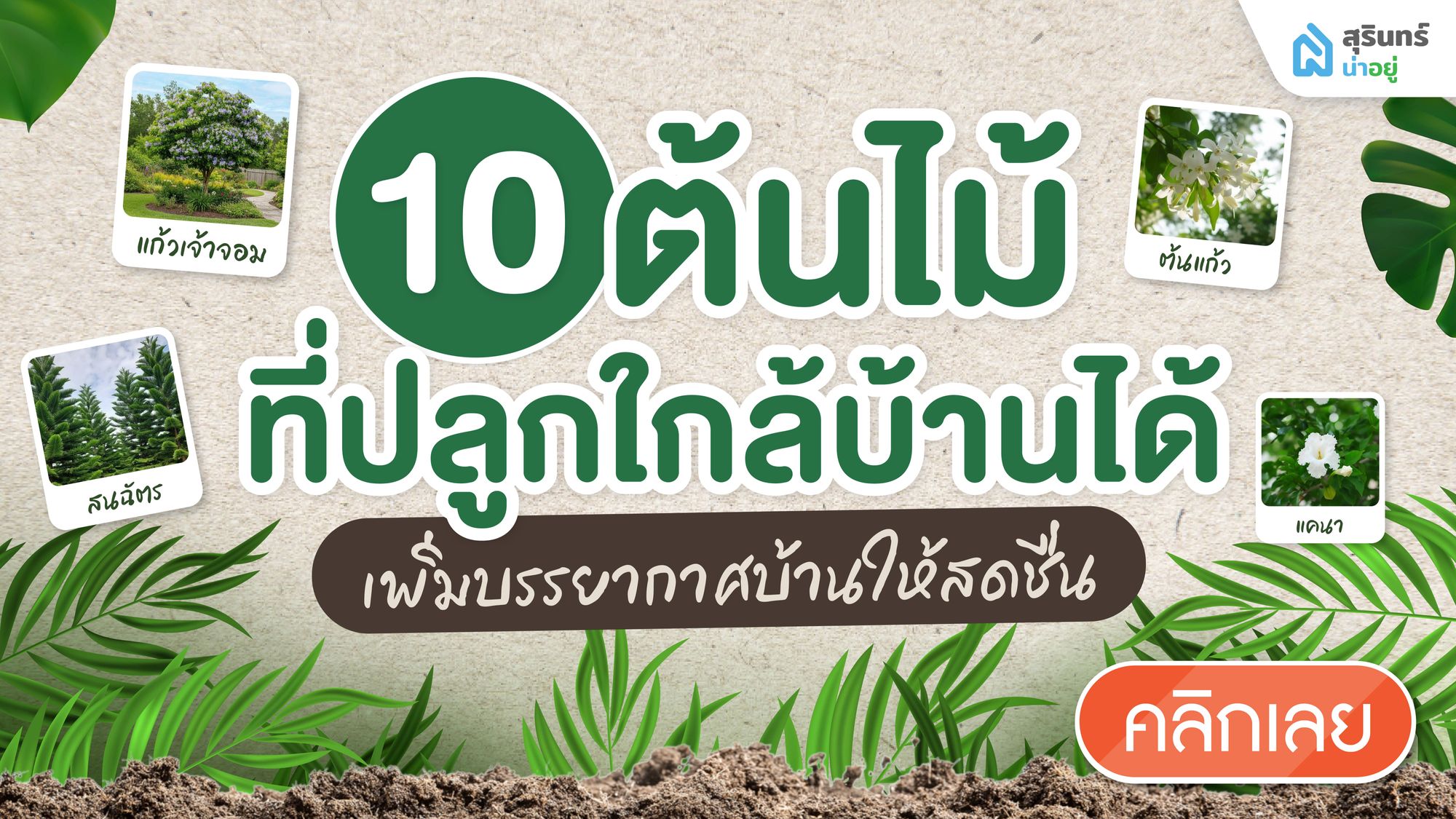 10 อันดับ ต้นไม้ที่ปลูกใกล้บ้านได้ และยังเพิ่มบรรยากาศบ้านให้สดชื่น