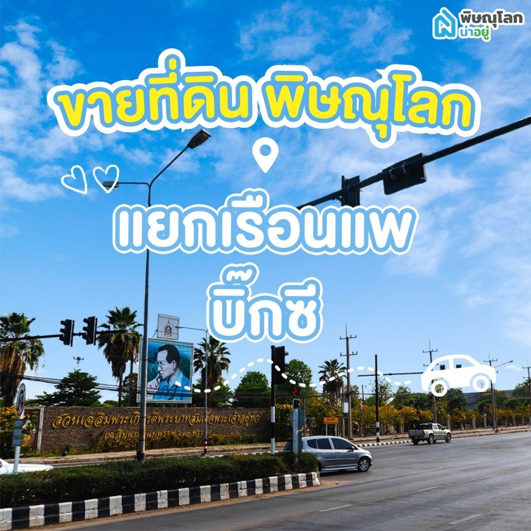 ขายที่ดิน พิษณุโลก โซนแยกเรือนแพ - บิ๊กซี 
