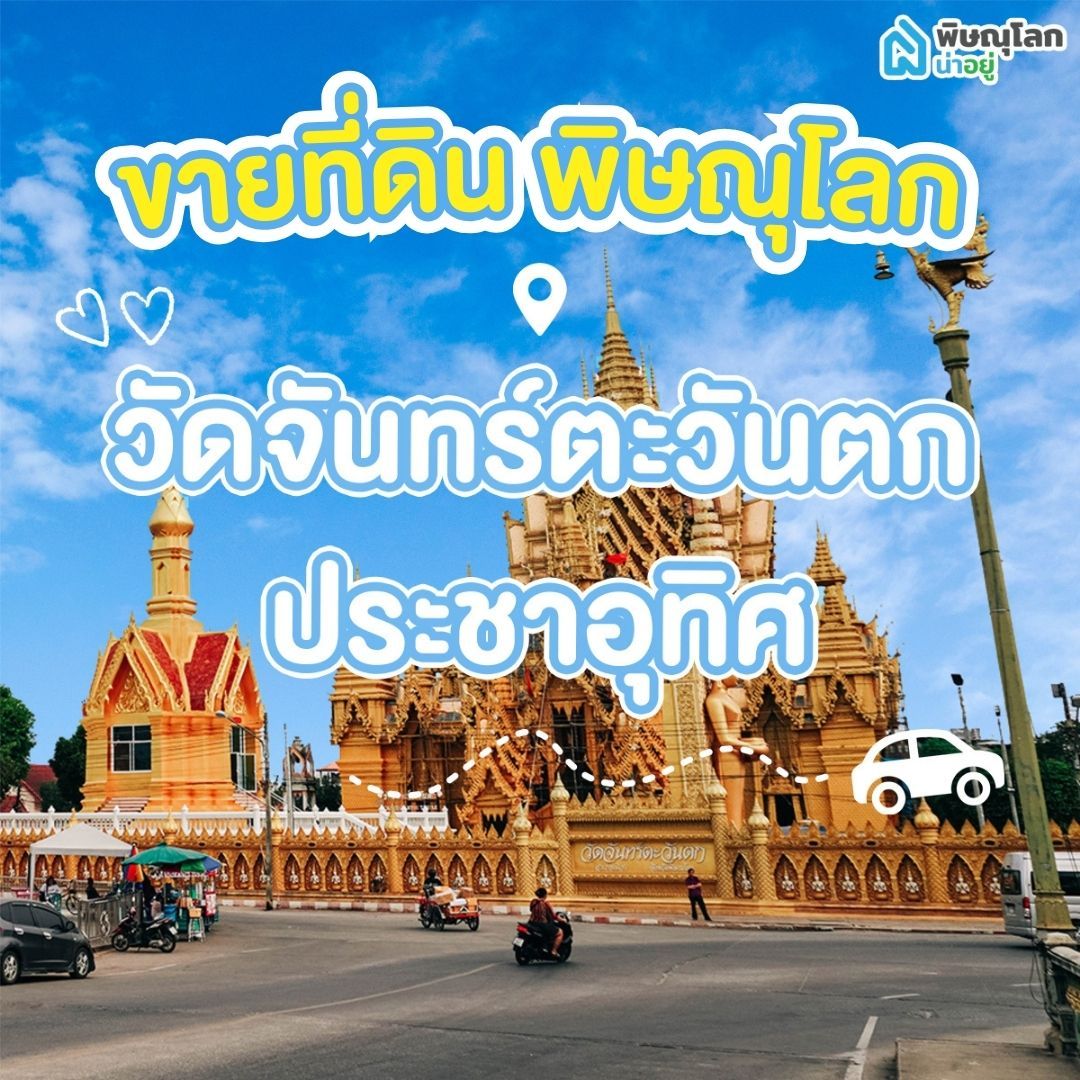 ขายที่ดิน พิษณุโลก โซนวัดจันทร์ตะวันตก -ประชาอุทิศ