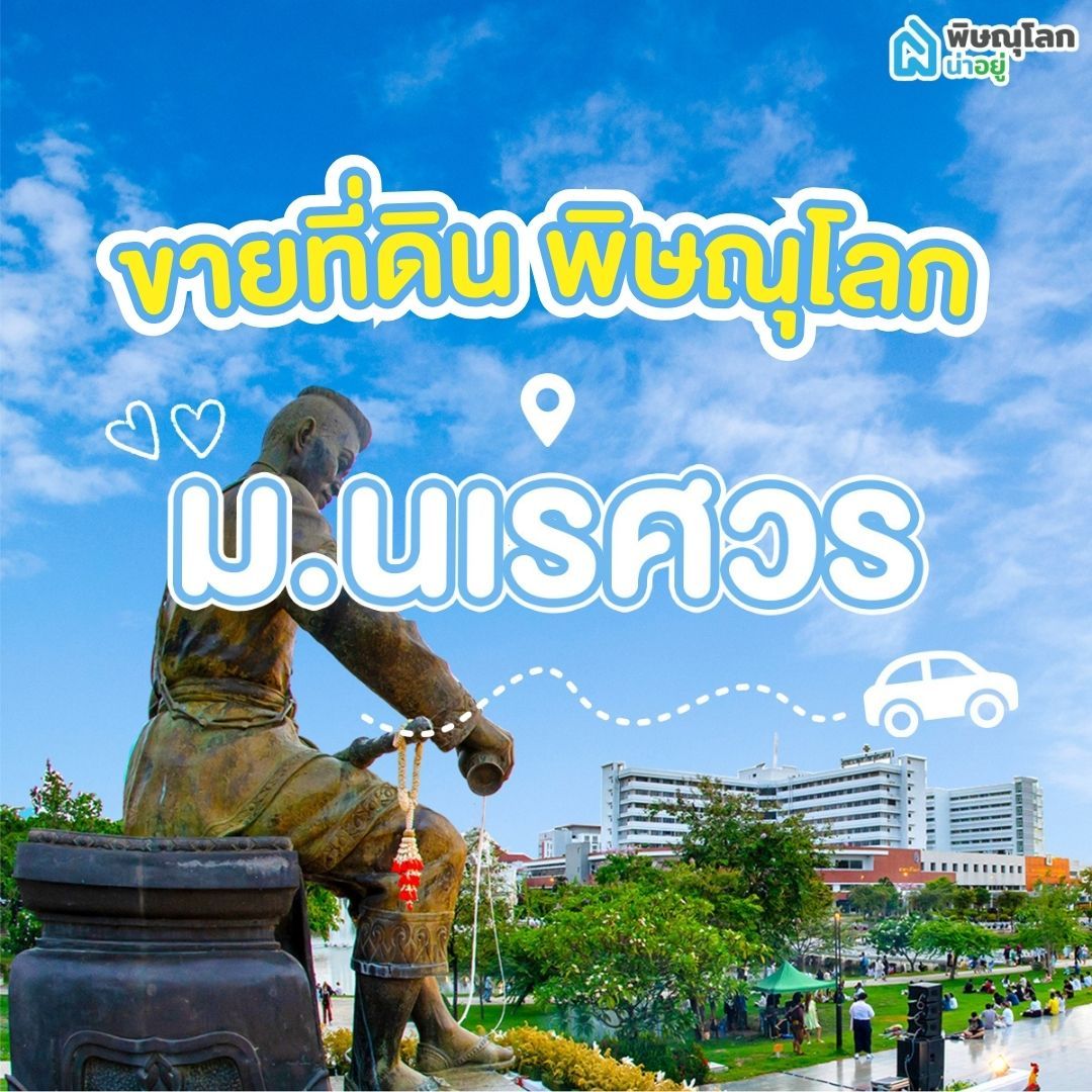 ขายที่ดิน พิษณุโลก โซนม.นเรศวร 