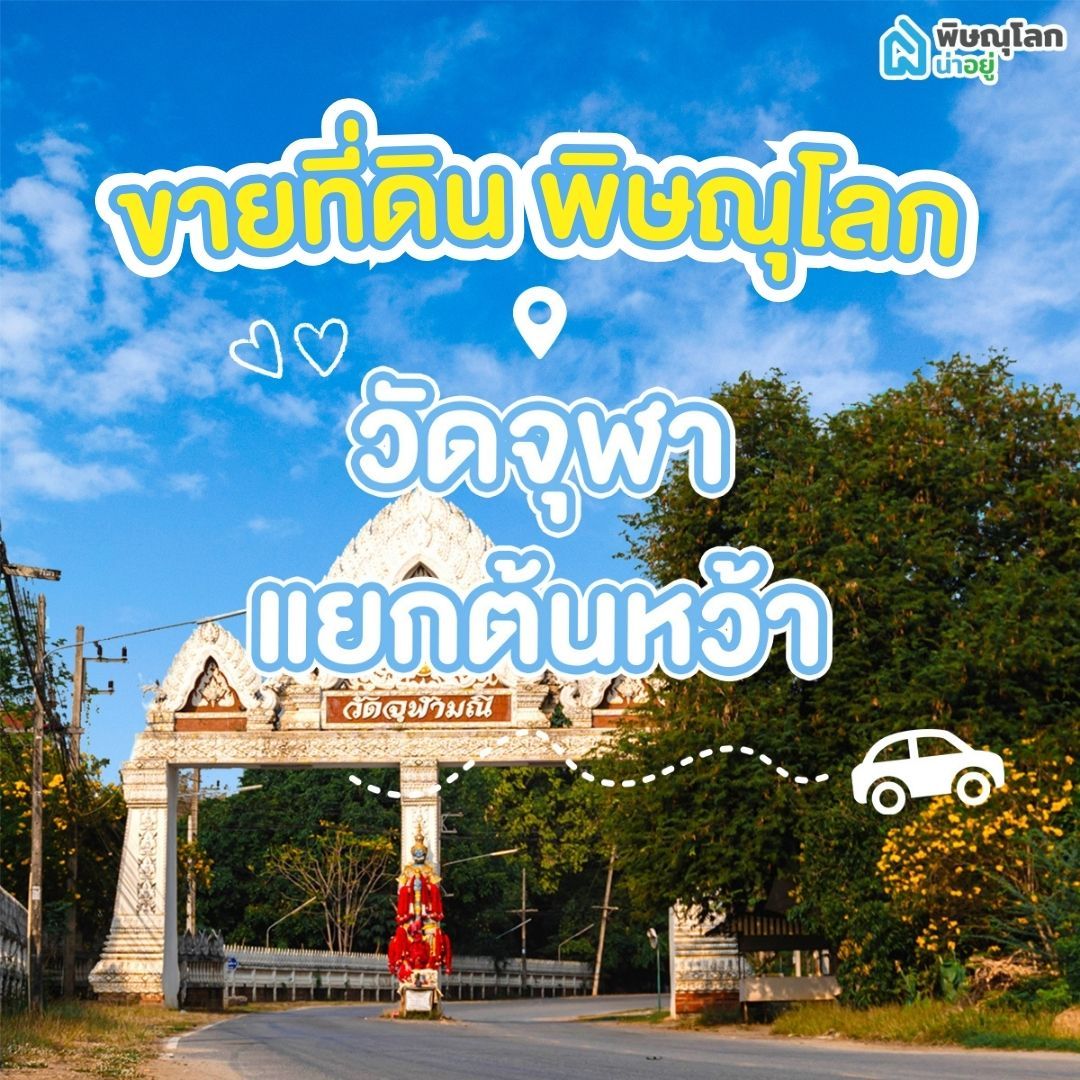 ขายที่ดิน พิษณุโลก โซนวัดจุฬา – แยกต้นหว้า 