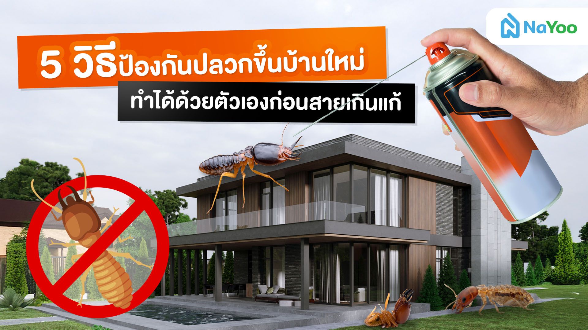 ต้องรู้ก่อนเข้าอยู่! 5 เคล็ดลับป้องกันปลวกขึ้นบ้านใหม่