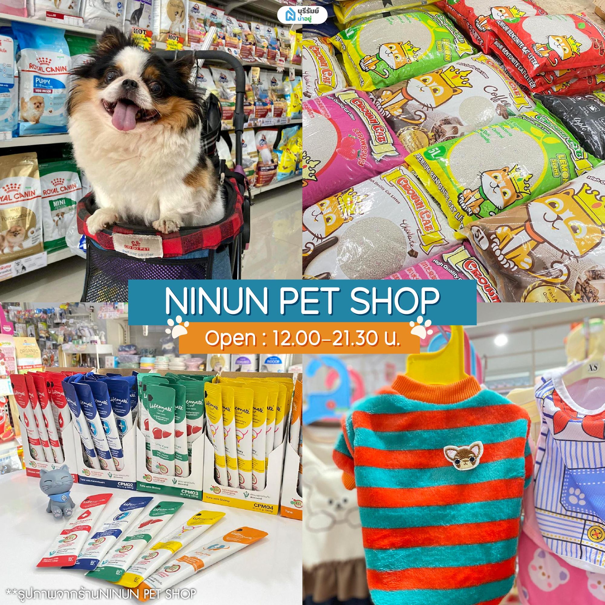 NINUN PET SHOP