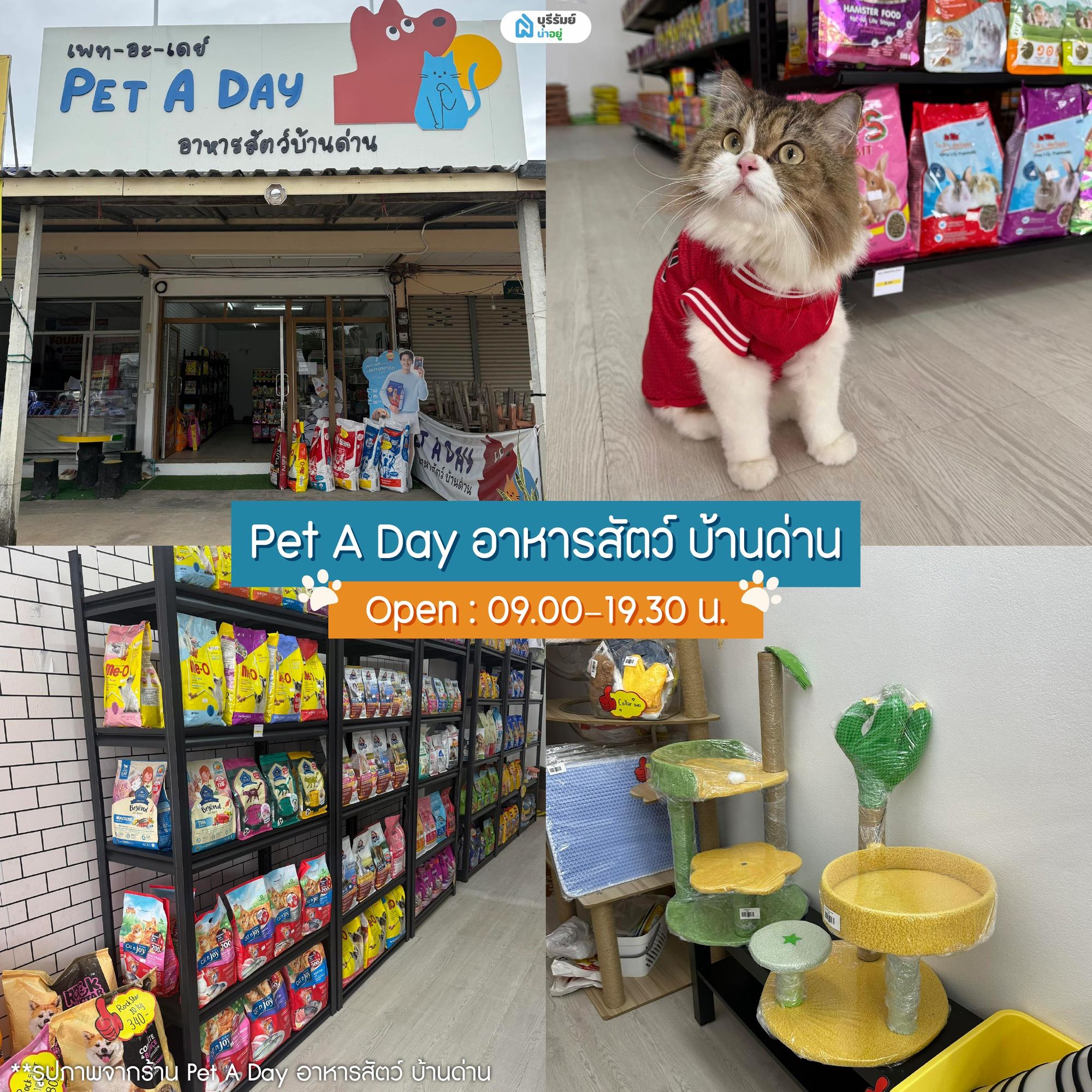 Pet A Day อาหารสัตว์ บ้านด่าน