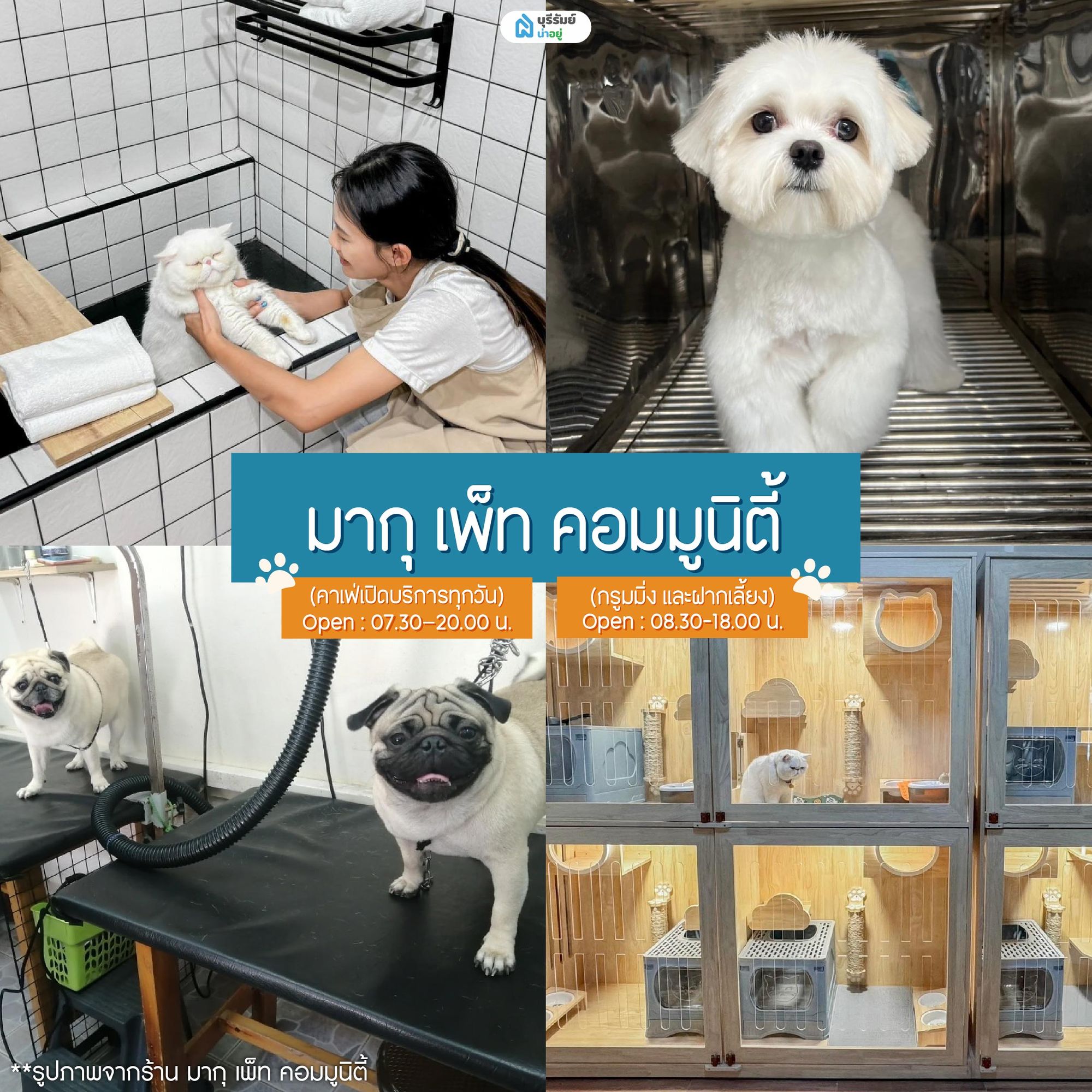 มากุ เพ็ท คอมมูนิตี้