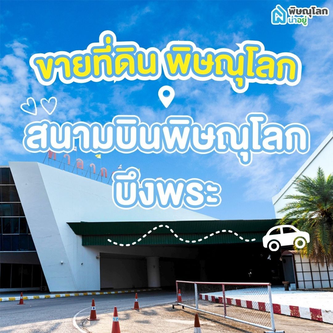 ขายที่ดิน พิษณุโลก โซนสนามบินพิษณุโลก - บึงพระ 