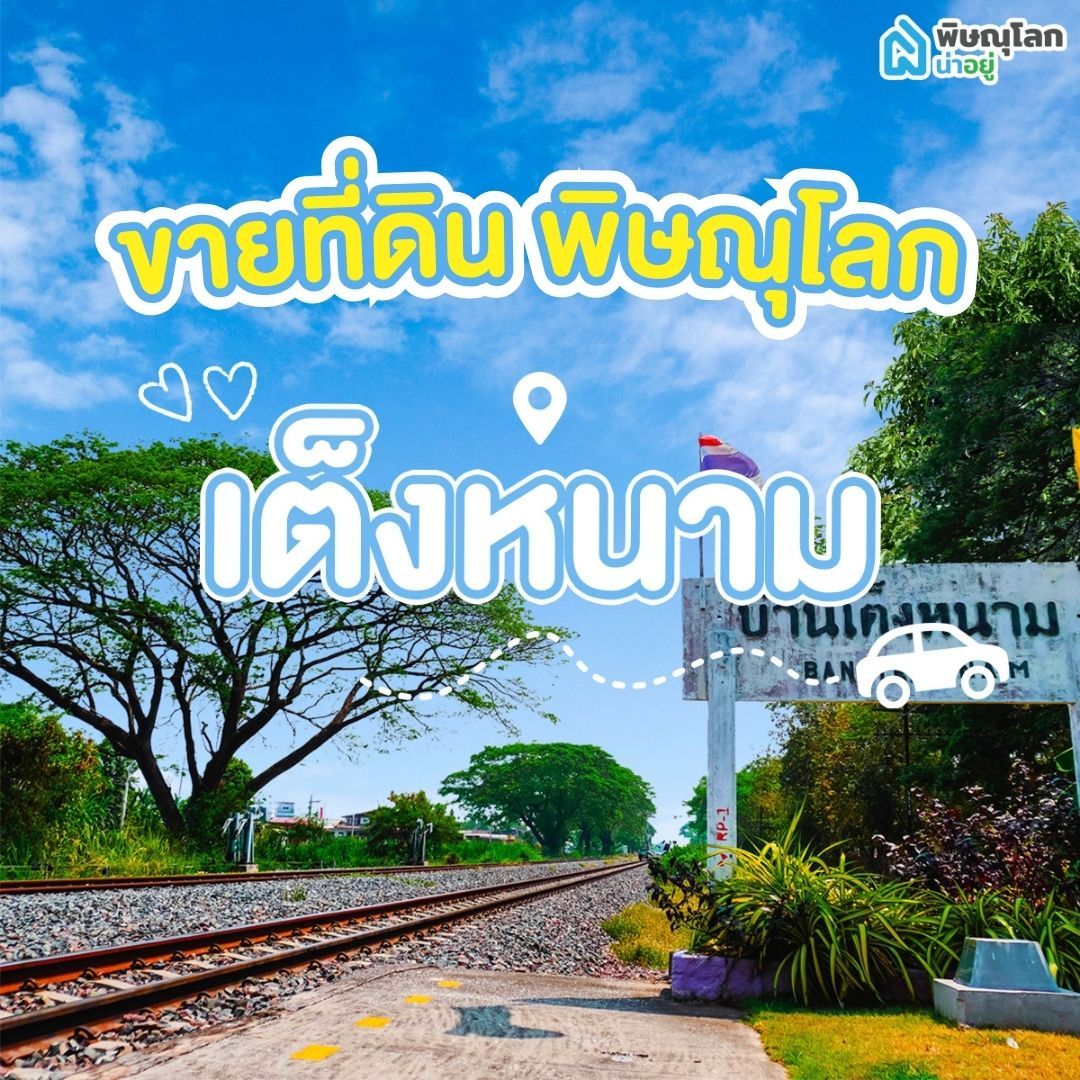 ขายที่ดิน พิษณุโลก โซนเต็งหนาม 