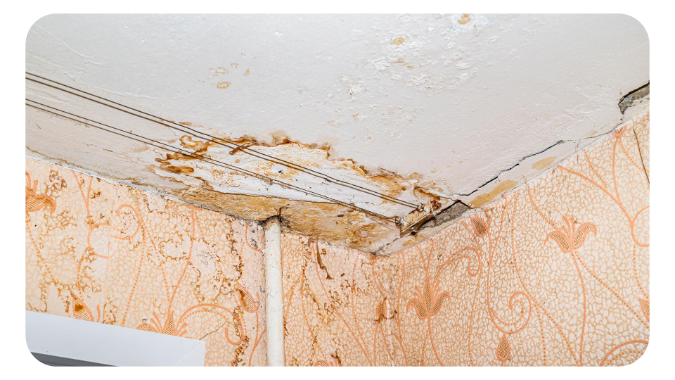 ปัญหาหลังคาและผนังที่ต้องรีบรีโนเวทบ้าน