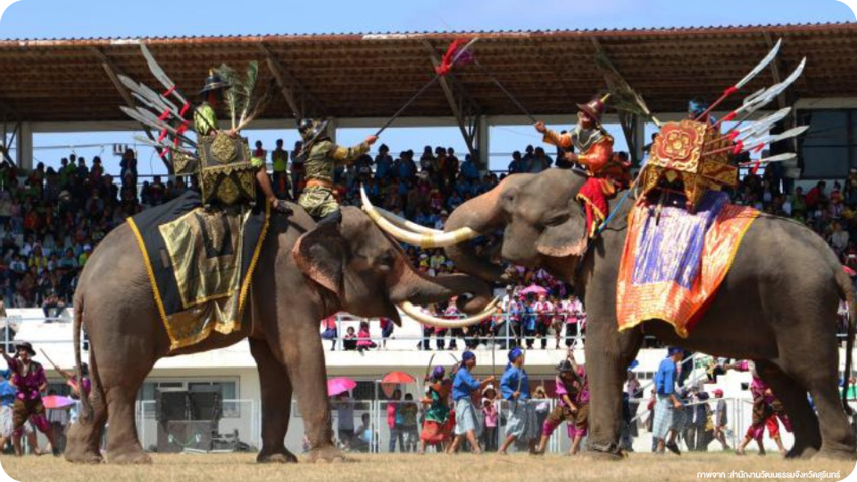 งานแสดงช้างสุรินทร์