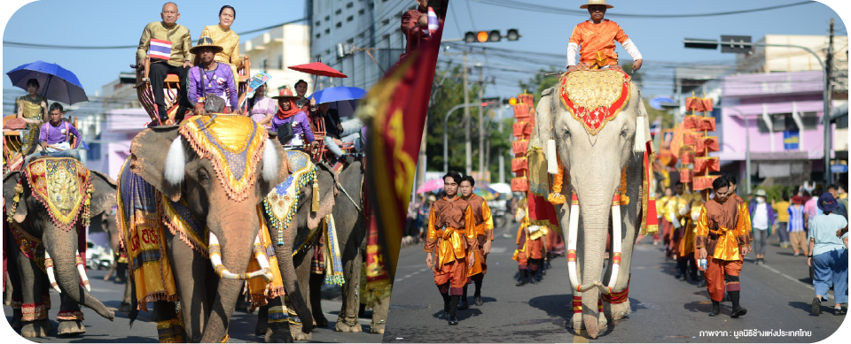 ขบวนพาเหรดช้างสุรินทร์ Elephant Parade