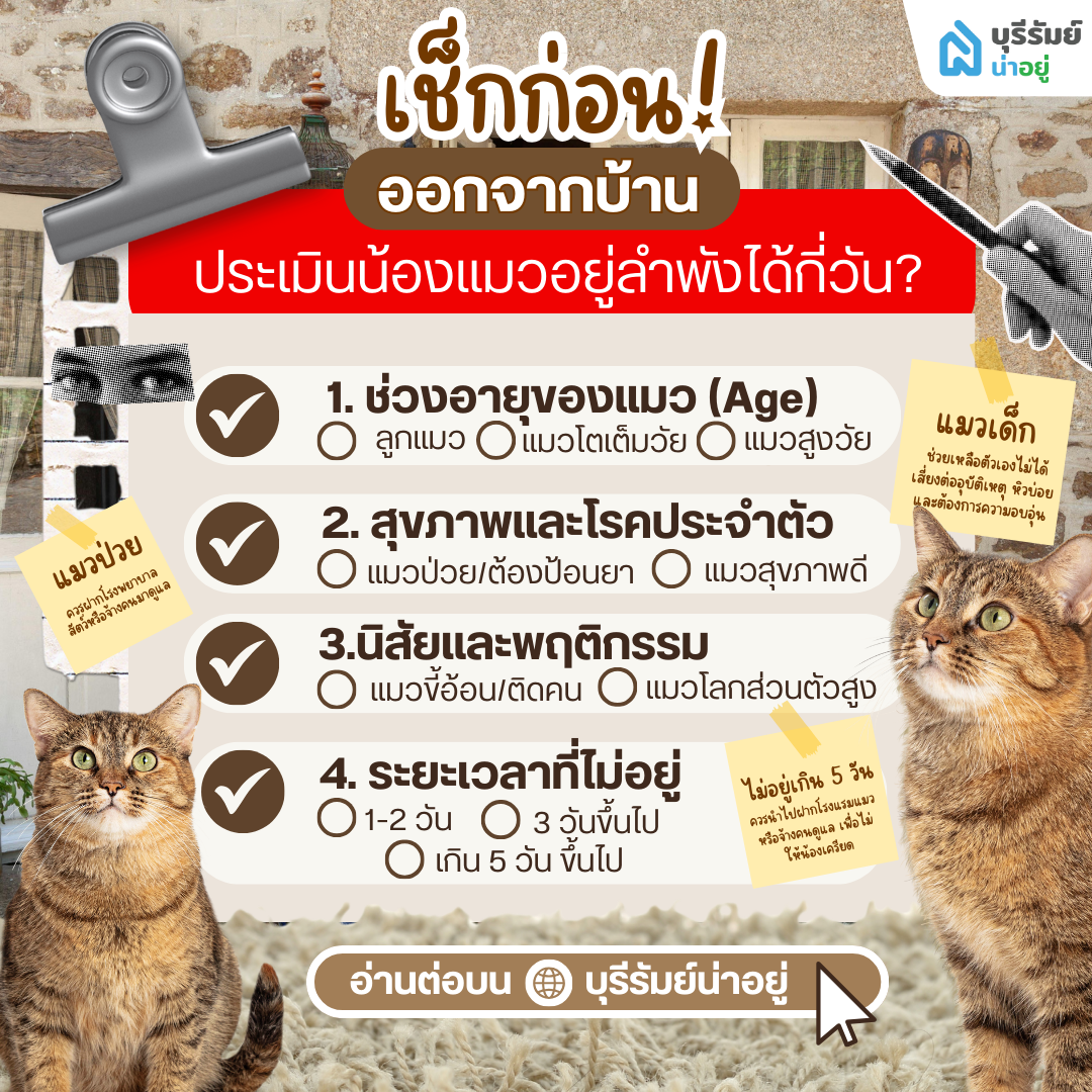 ประเมินความพร้อมก่อนเดินทาง: น้องแมวอยู่ลำพังได้กี่วันก่อนออกจากบ้าน ประเมินความพร้อมก่อนเดินทาง