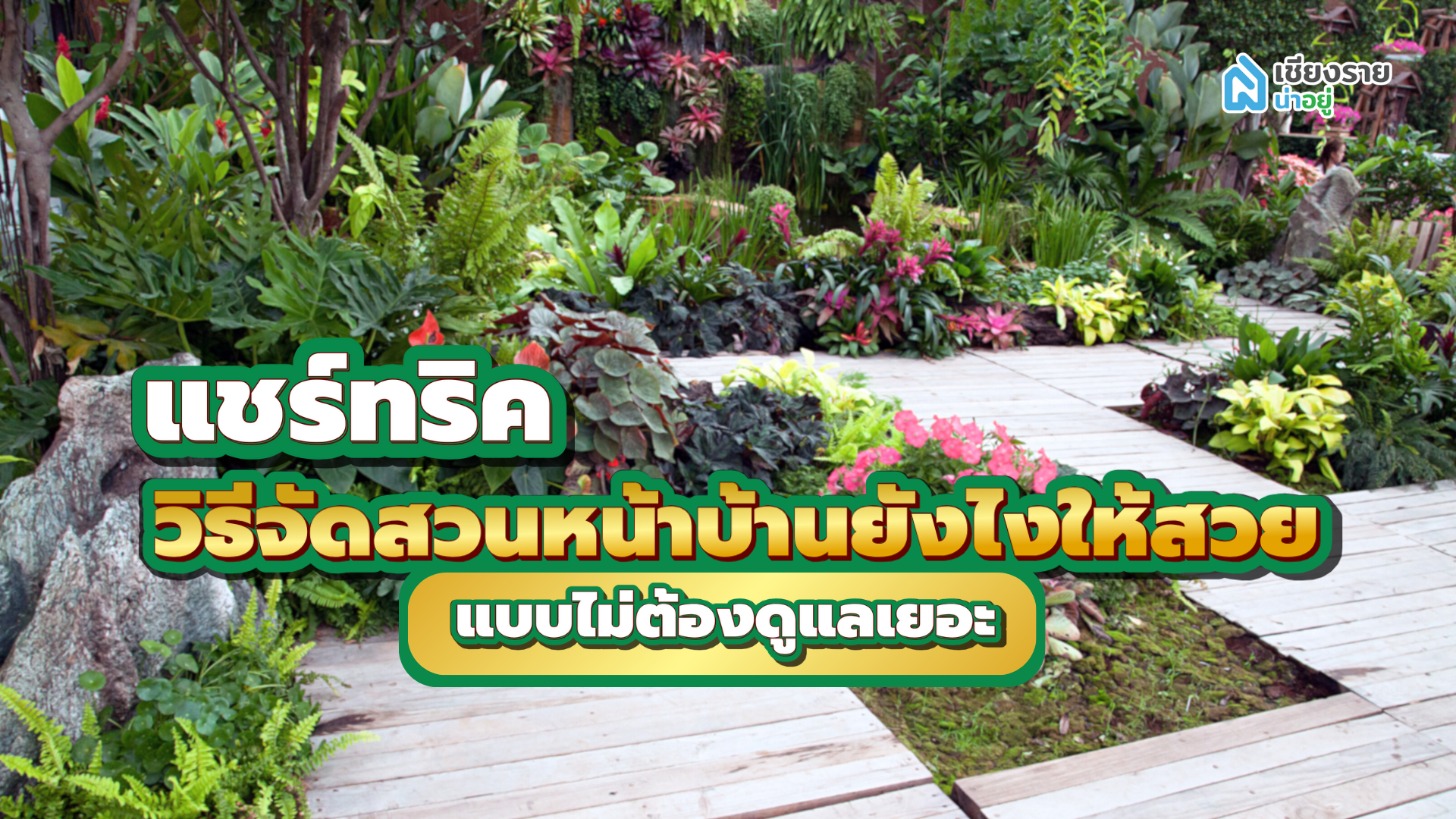 แชร์ทริควิธีจัดสวนหน้าบ้านยังไงให้สวย แบบไม่ต้องดูแลเยอะ