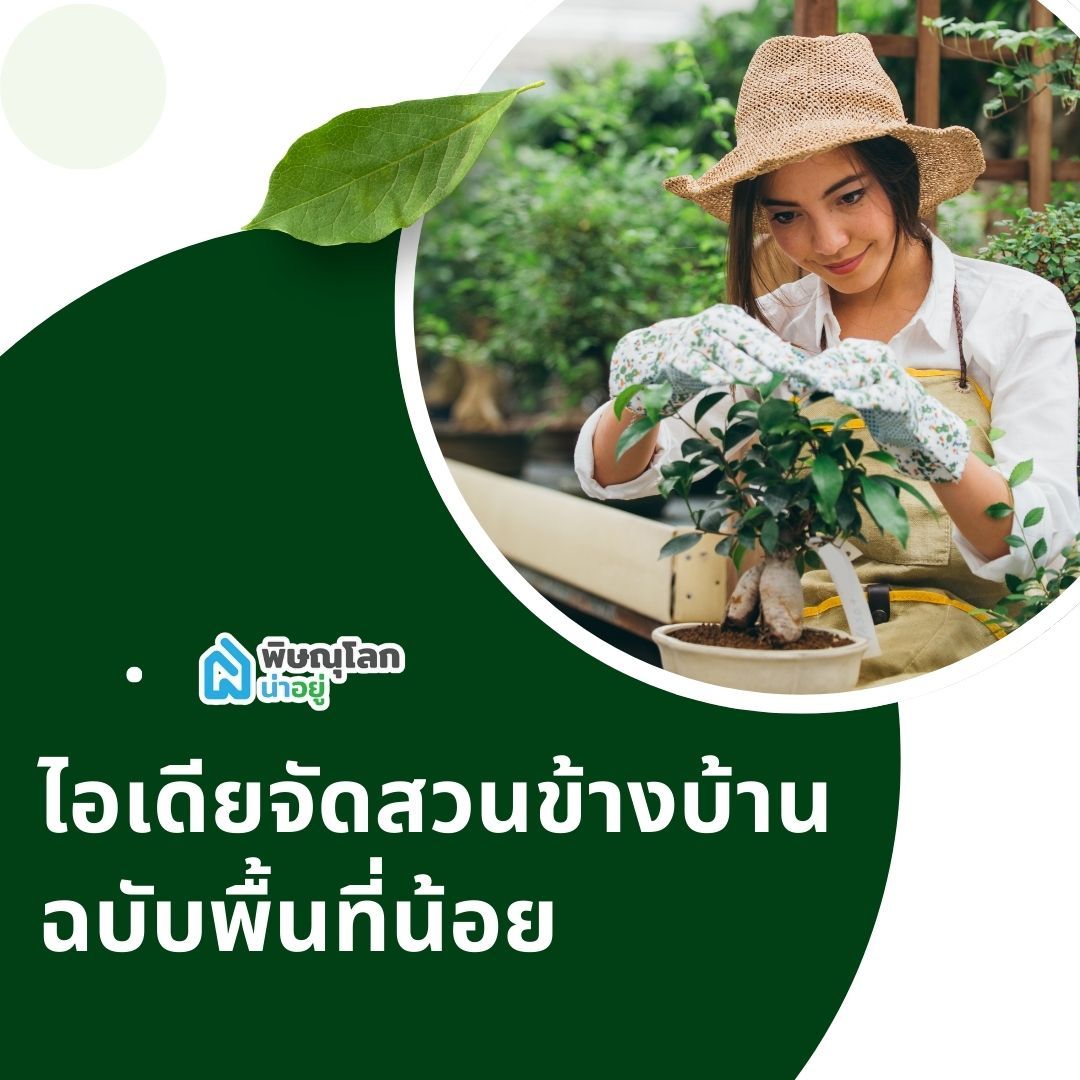 ไอเดียจัดสวนข้างบ้านฉบับพื้นที่น้อย