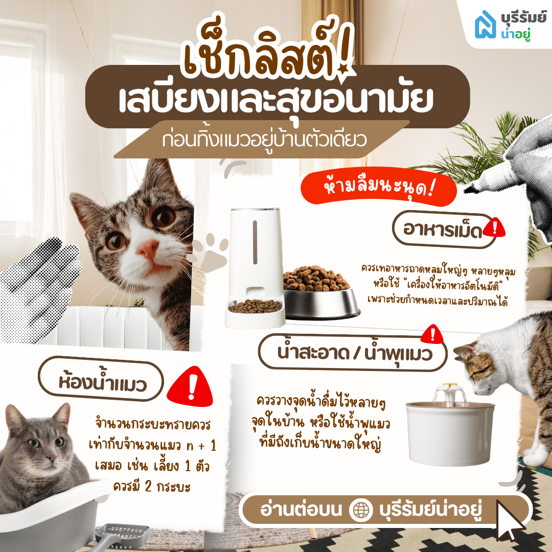 เช็กลิสต์ เสบียงและสุขอนามัย ก่อนทิ้งแมวอยู่บ้านตัวเดียว