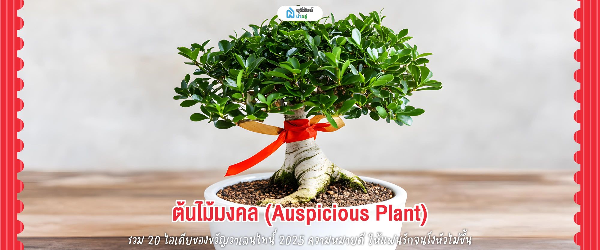 ของขวัญวันวาเลนไทน์ ต้นไม้มงคล