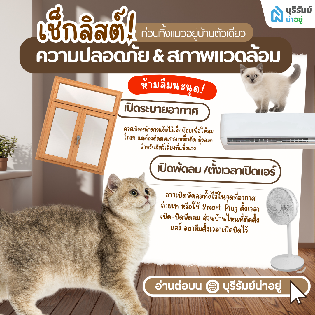 ปรับสภาพแวดล้อมในบ้าน ก่อนทิ้งแมวอยู่บ้านตัวเดียว