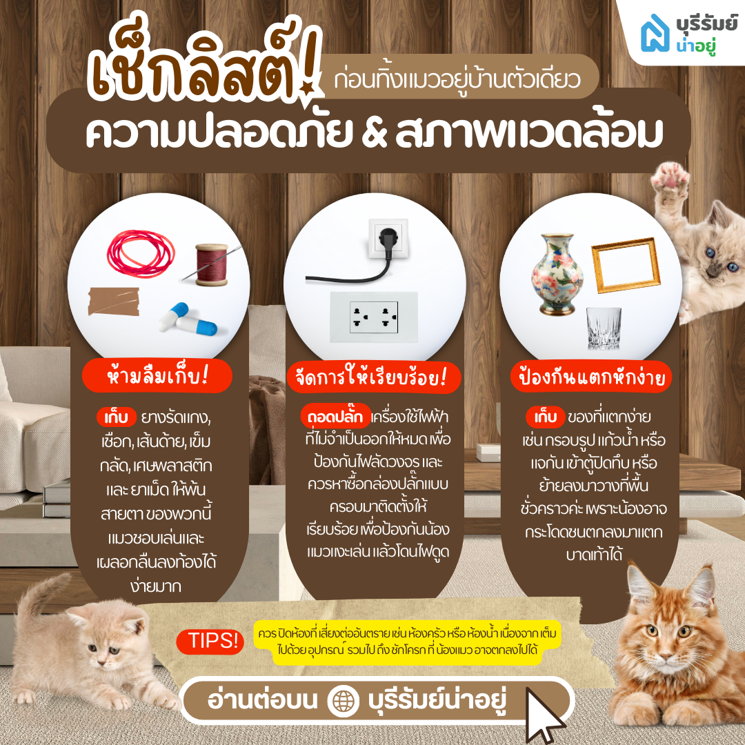 เคลียร์พื้นที่อันตราย ก่อนทิ้งแมวอยู่บ้านตัวเดียว