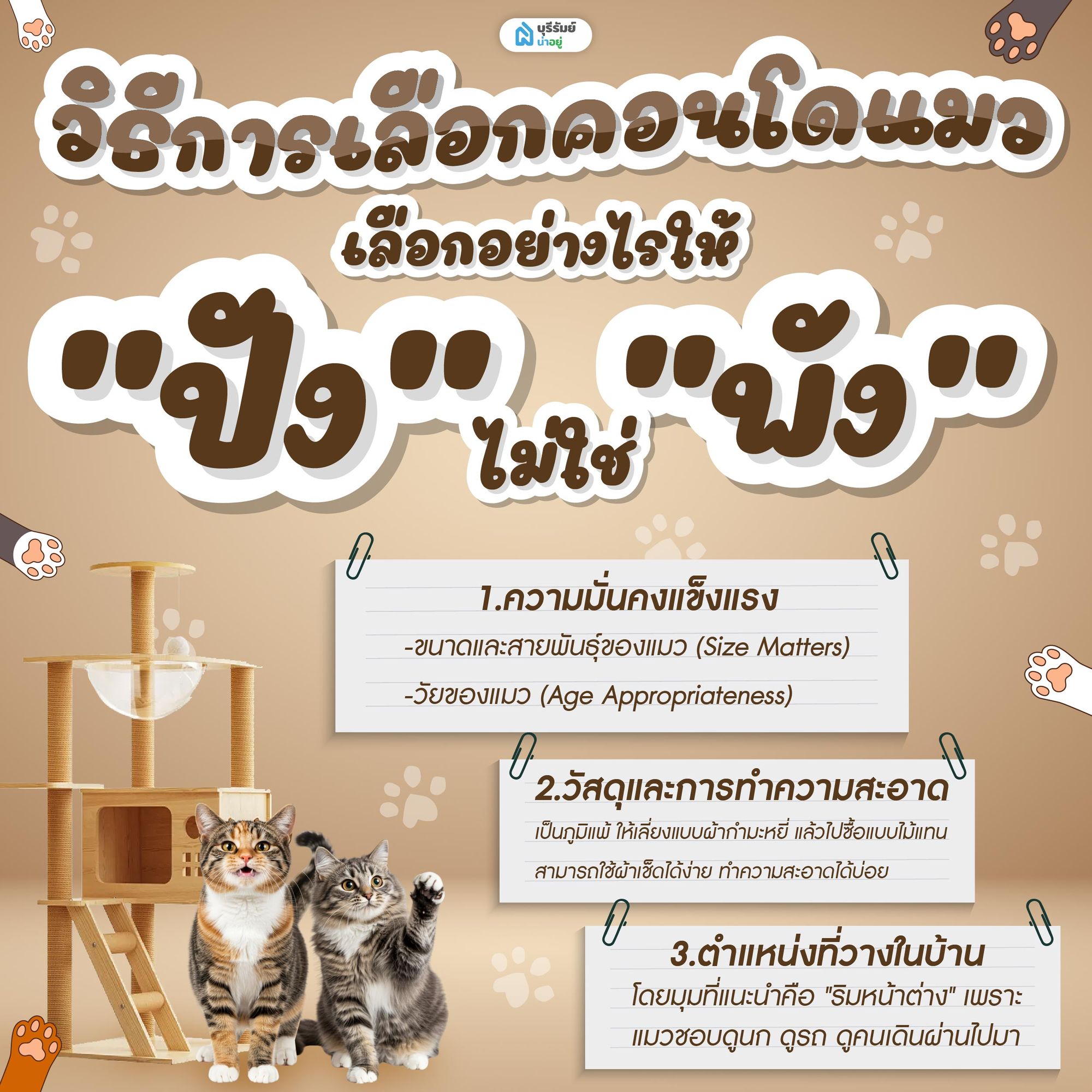 วิธีการเลือกคอนโดแมว เลือกอย่างไรให้ "ปัง" ไม่ใช่ "พัง"