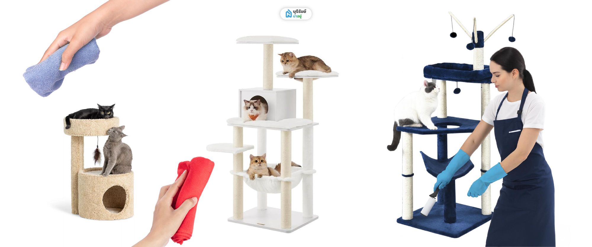 การดูแลรักษาคอนโดแมว ให้ใช้งานได้ยาวนาน