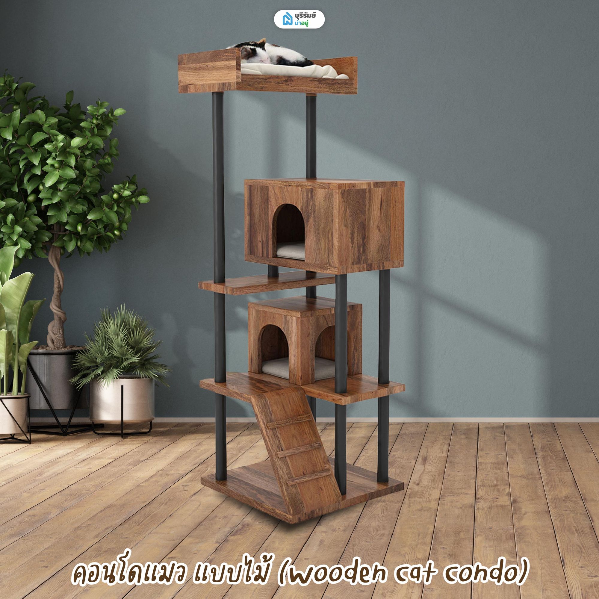 คอนโดแมว แบบไม้