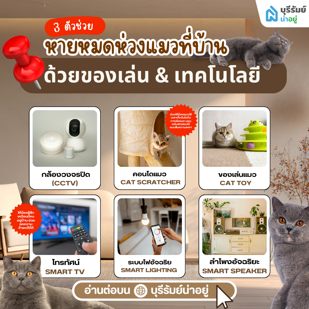 ตัวช่วย ลดความเหงาและเฝ้าระวัง ก่อนทิ้งแมวอยู่บ้านตัวเดียว