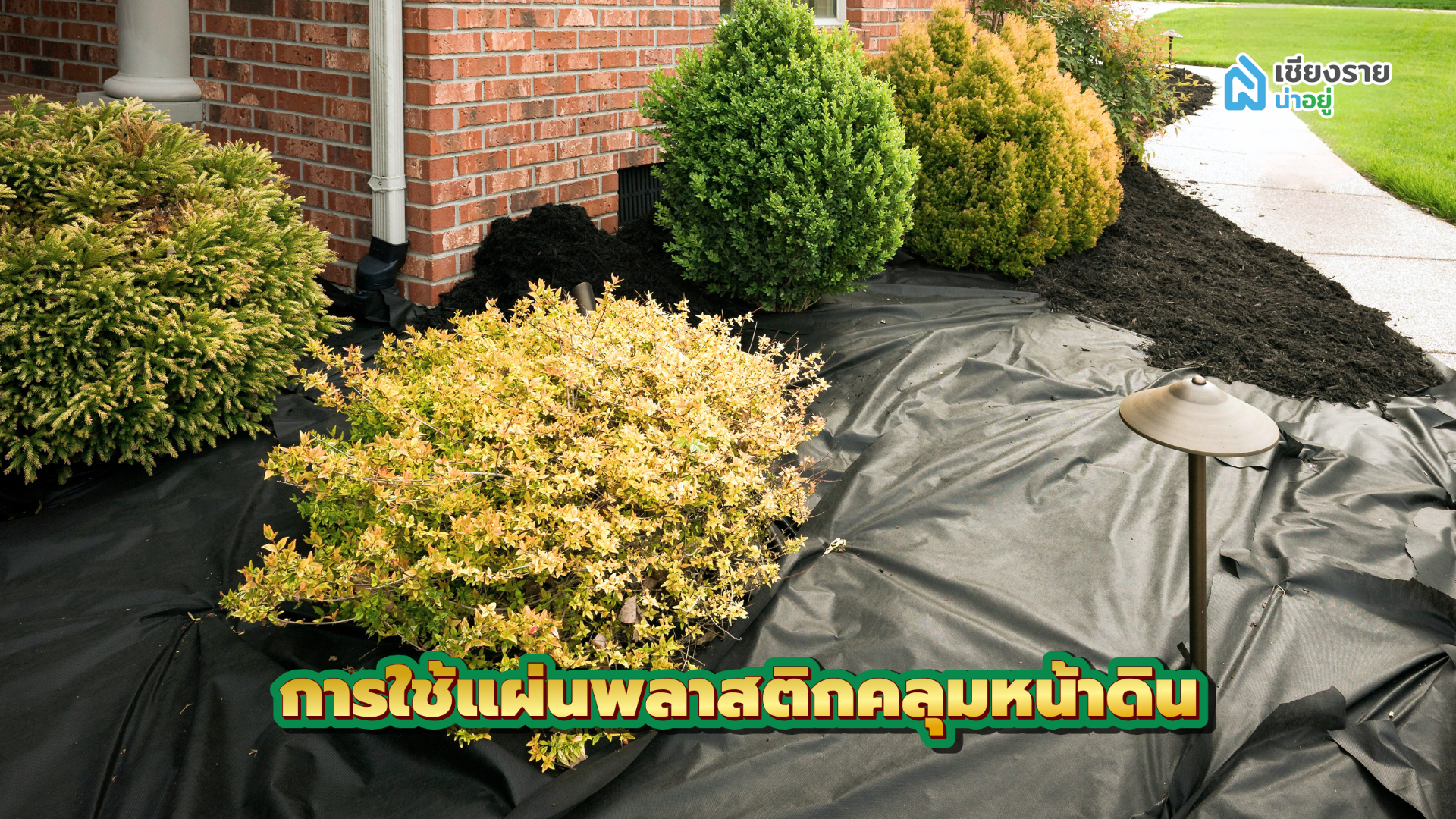 วิธีจัดสวนหน้าบ้าน ใช้แผ่นพลาสติกคลุมหน้าดิน
