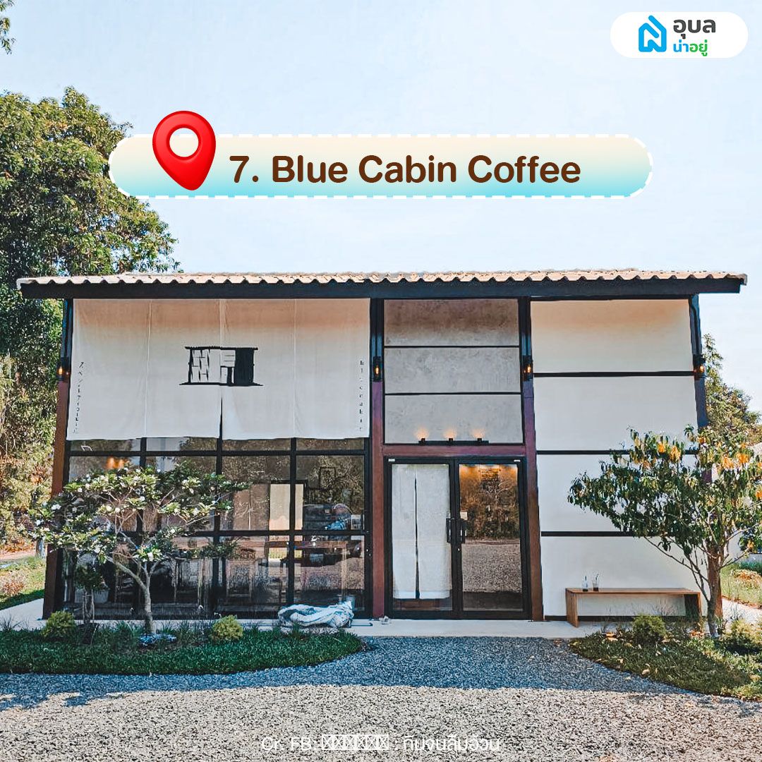 Blue Cabin Coffee