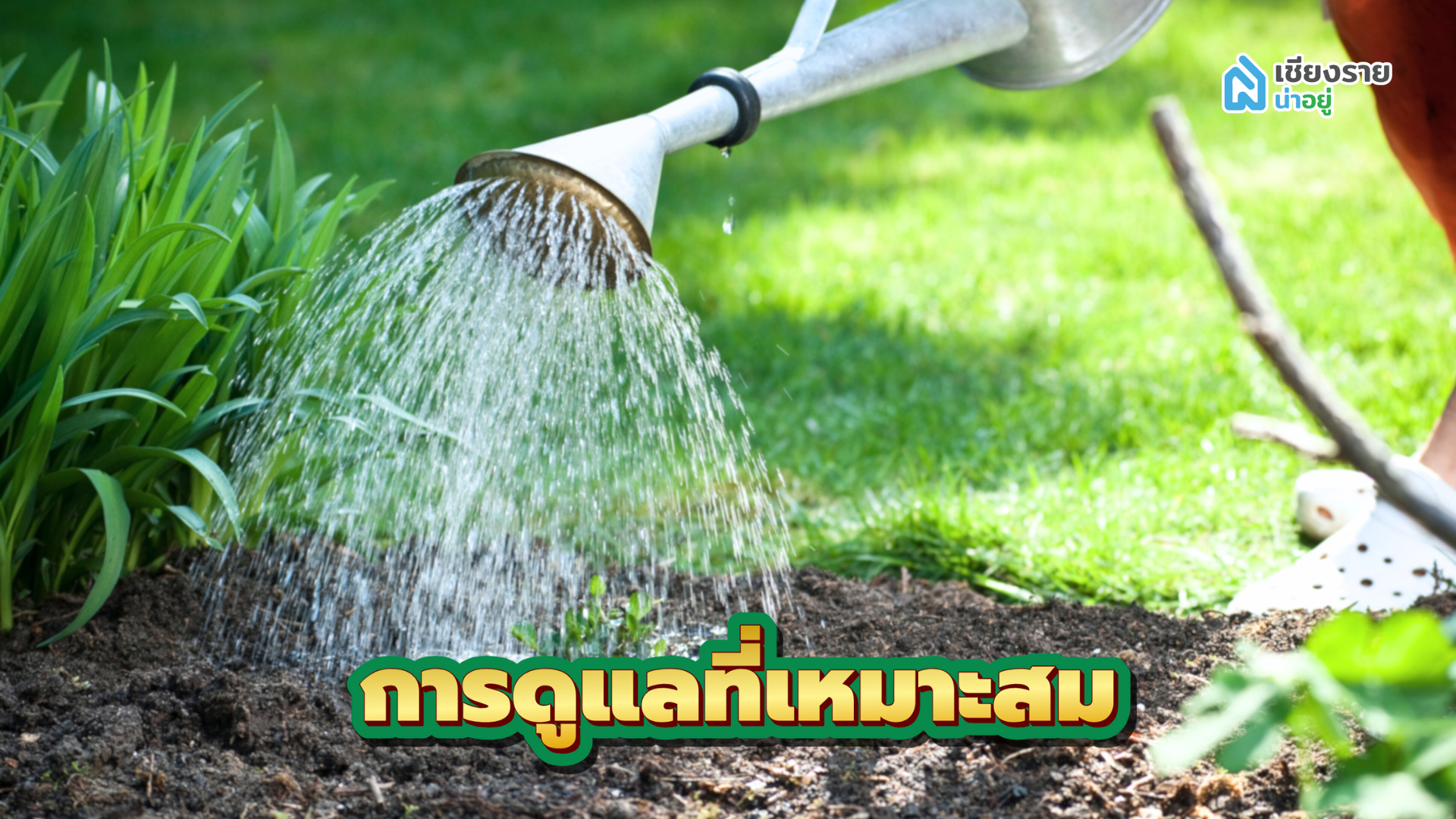 วิธีจัดสวนหน้าบ้าน การดูแลที่เหมาะสม