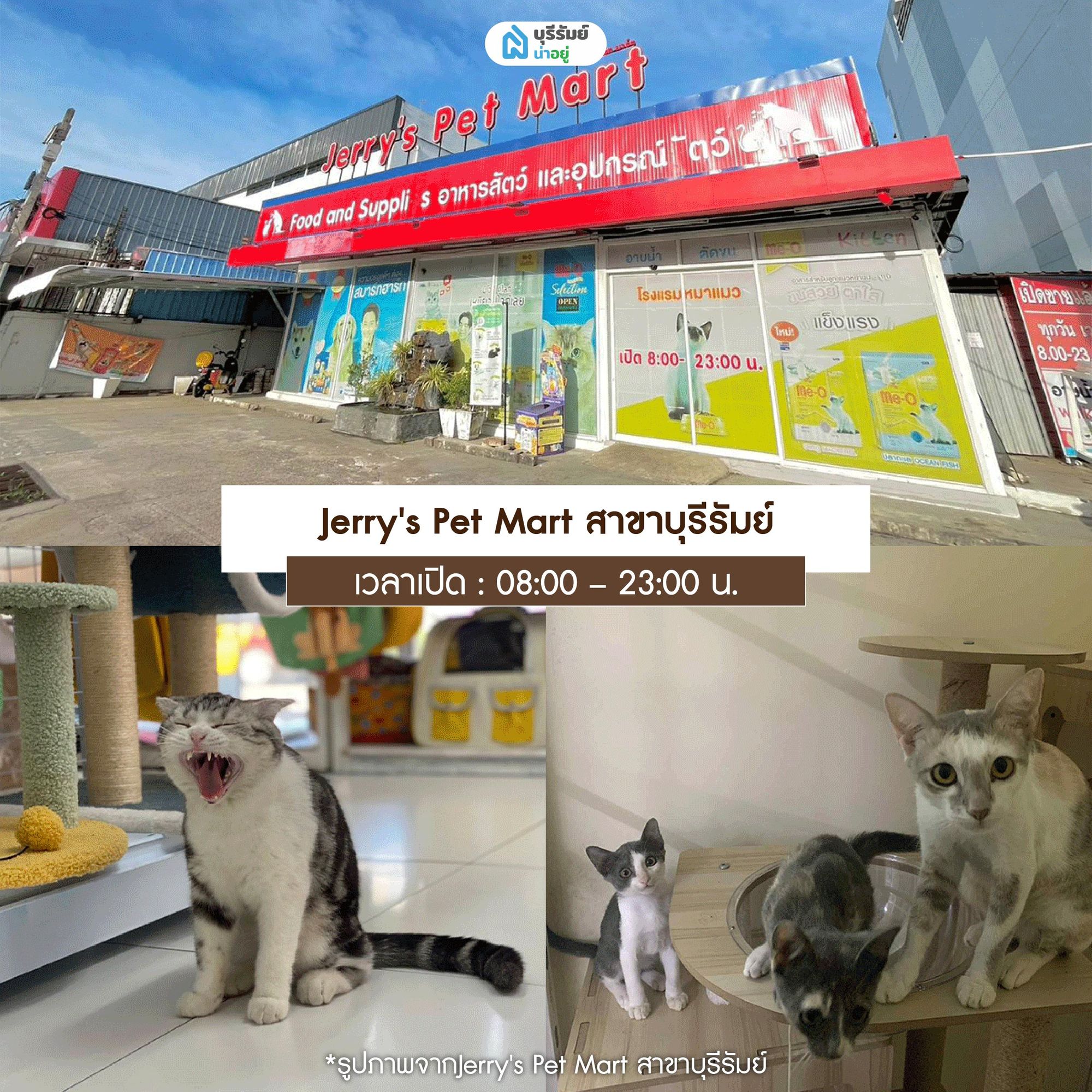Jerry's Pet Mart สาขาบุรีรัมย์