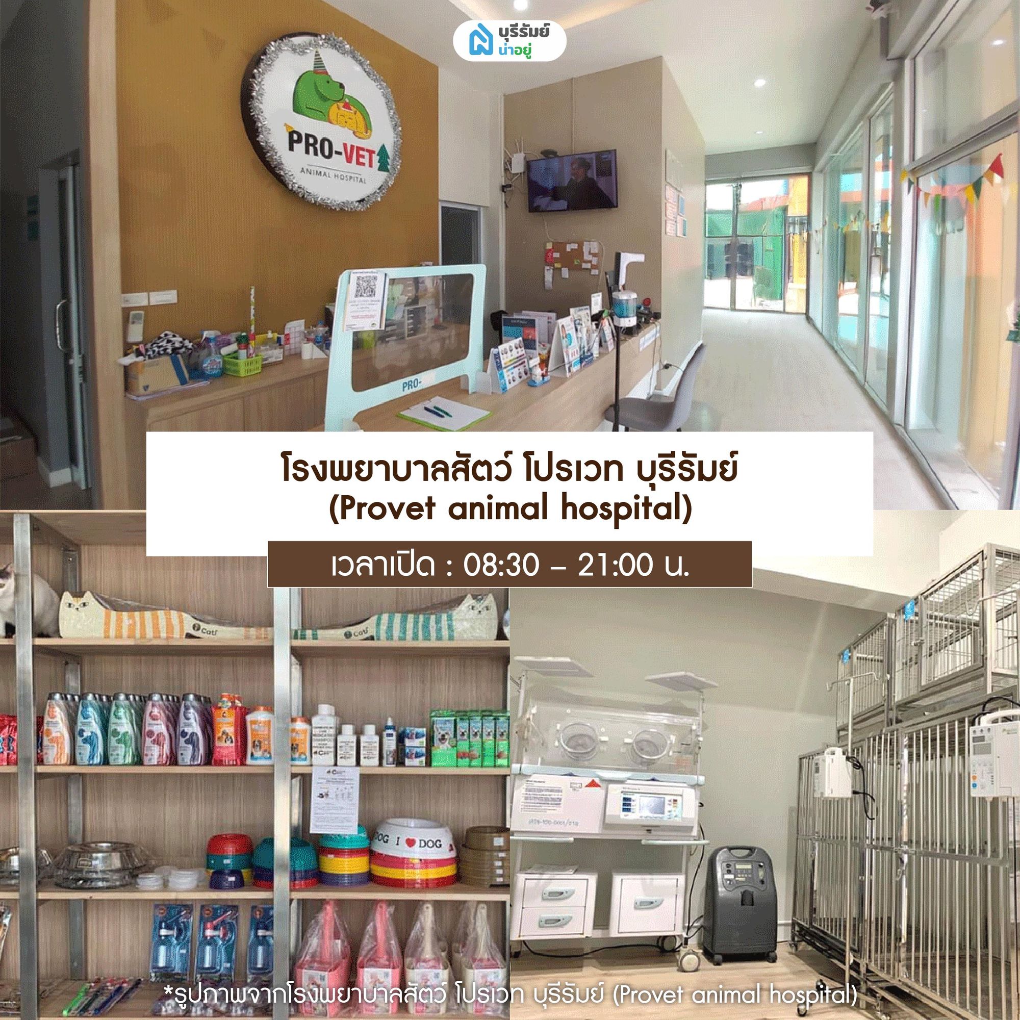 โรงพยาบาลสัตว์ โปรเวท บุรีรัมย์ (Provet animal hospital)