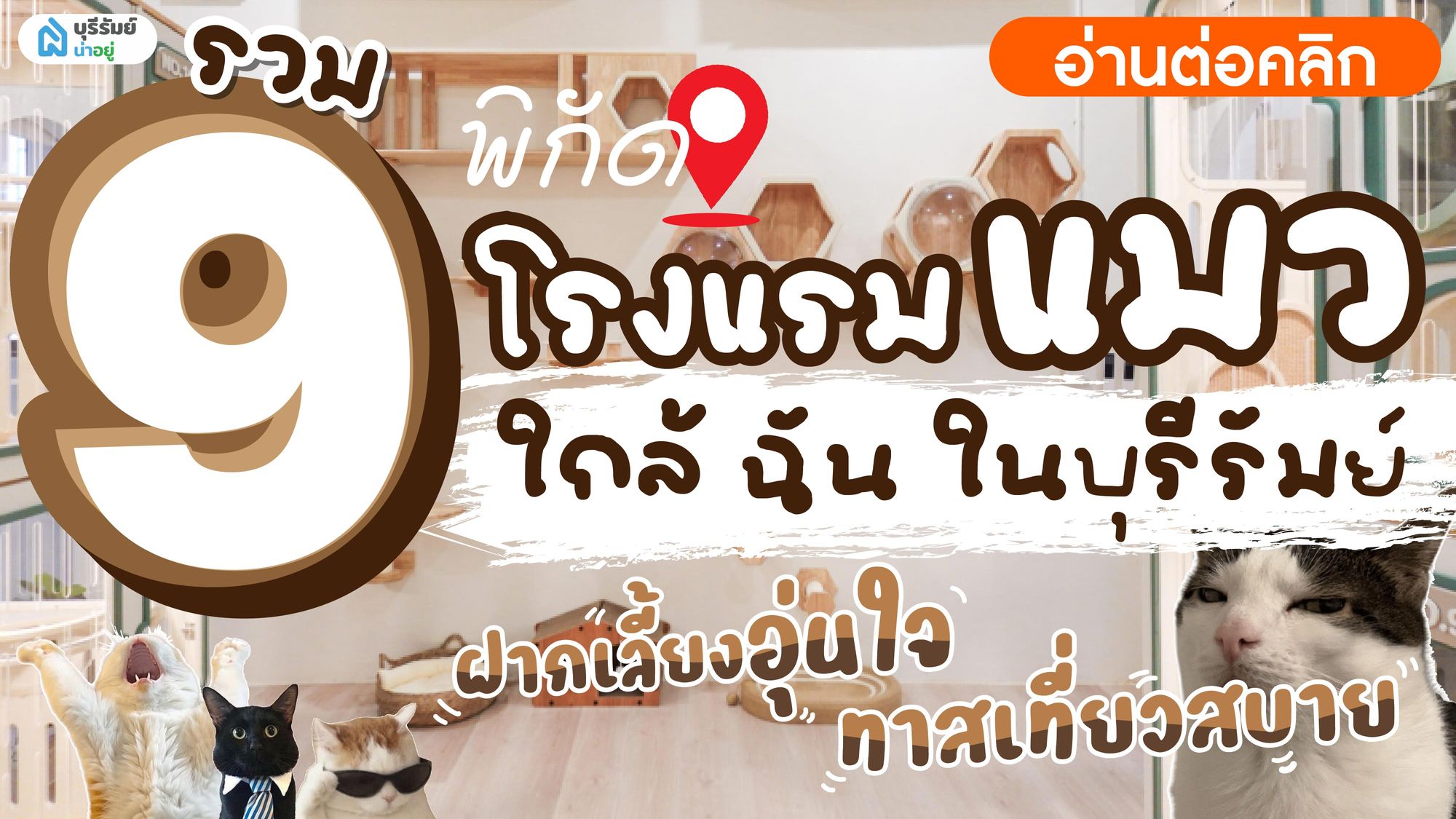 รวม 9 พิกัด โรงแรม แมว ใกล้ ฉัน ในบุรีรัมย์ ฝากเลี้ยงอุ่นใจ ทาสเที่ยวสบาย